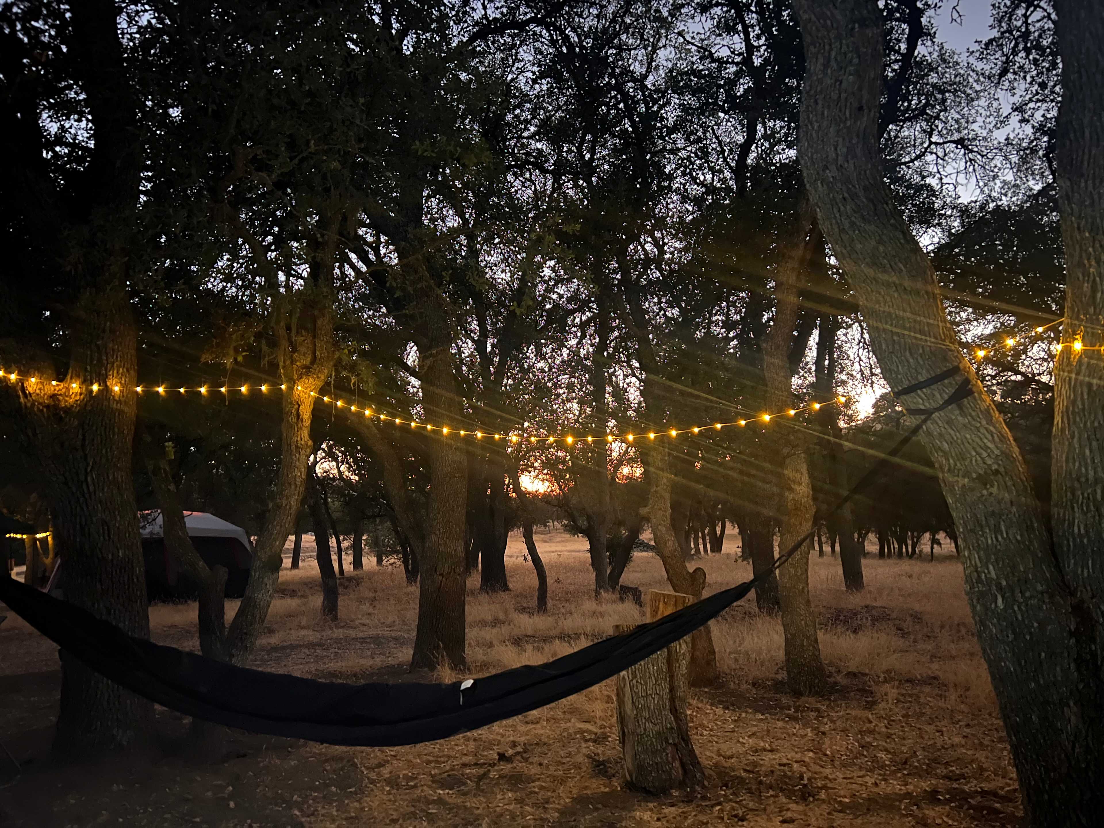 40min to Pinn/Song of the Ancients