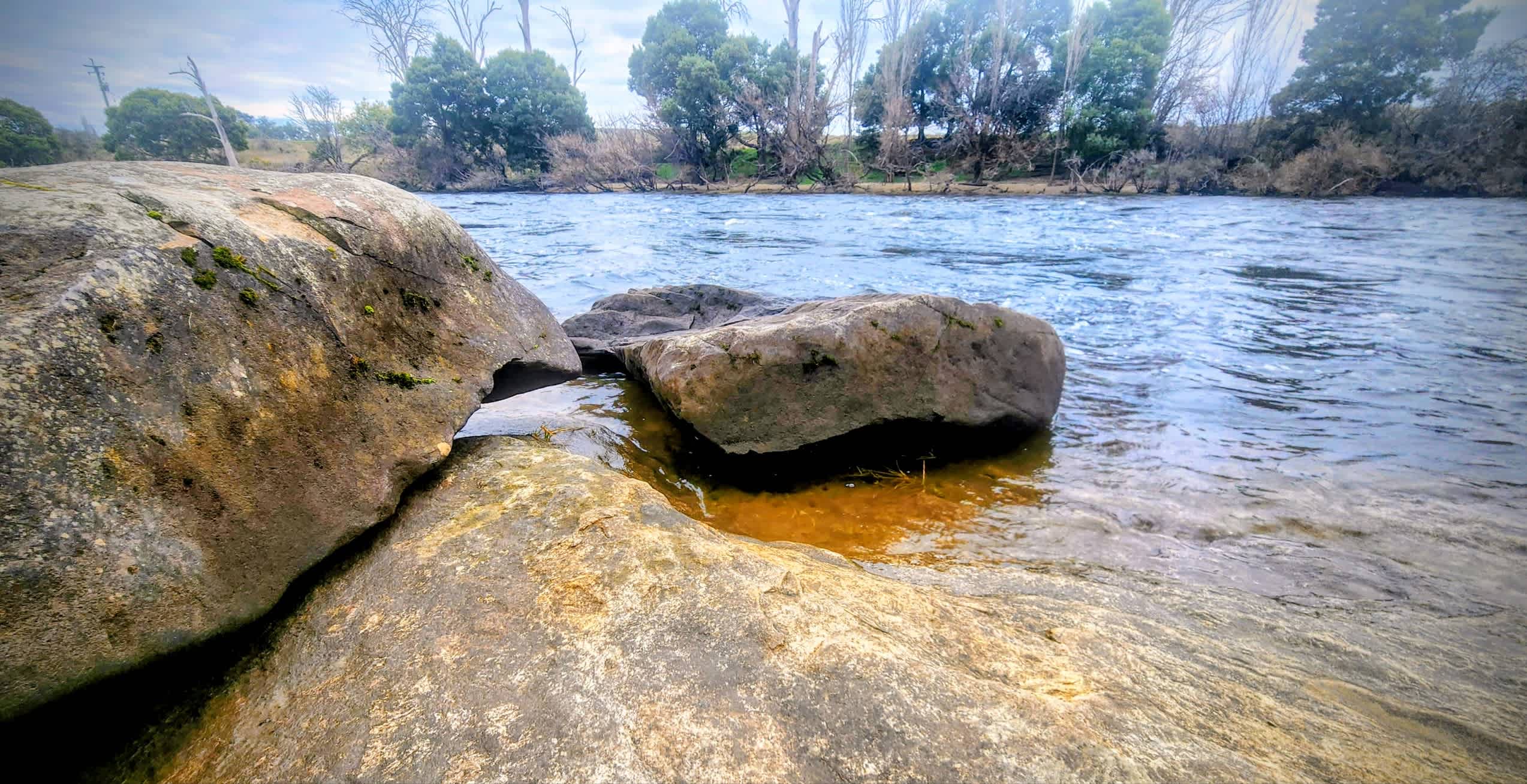 Ryelands Farm & Vineyard
