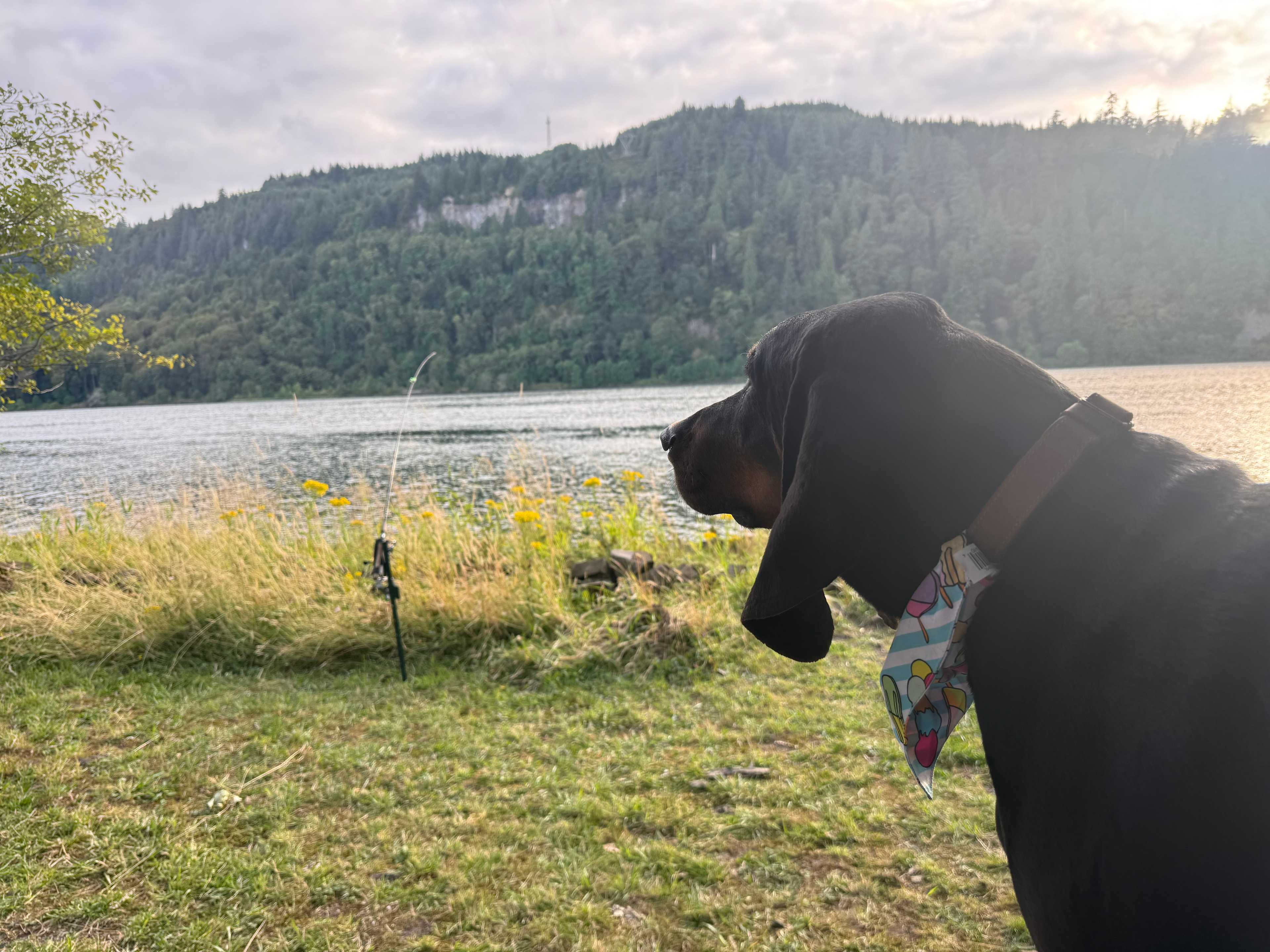 Columbia River Camping