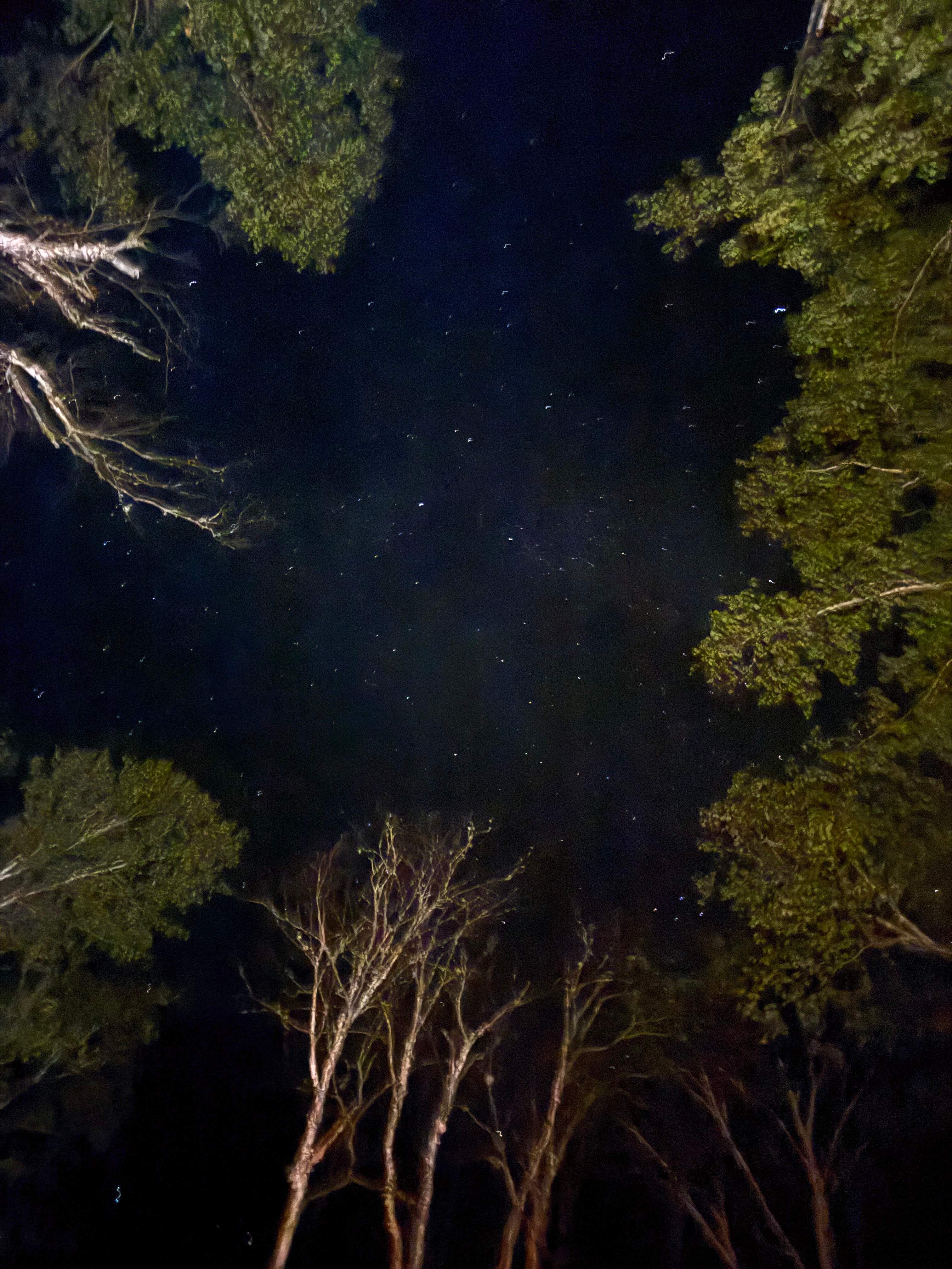 Rusty's Red Deer Lake Getaway