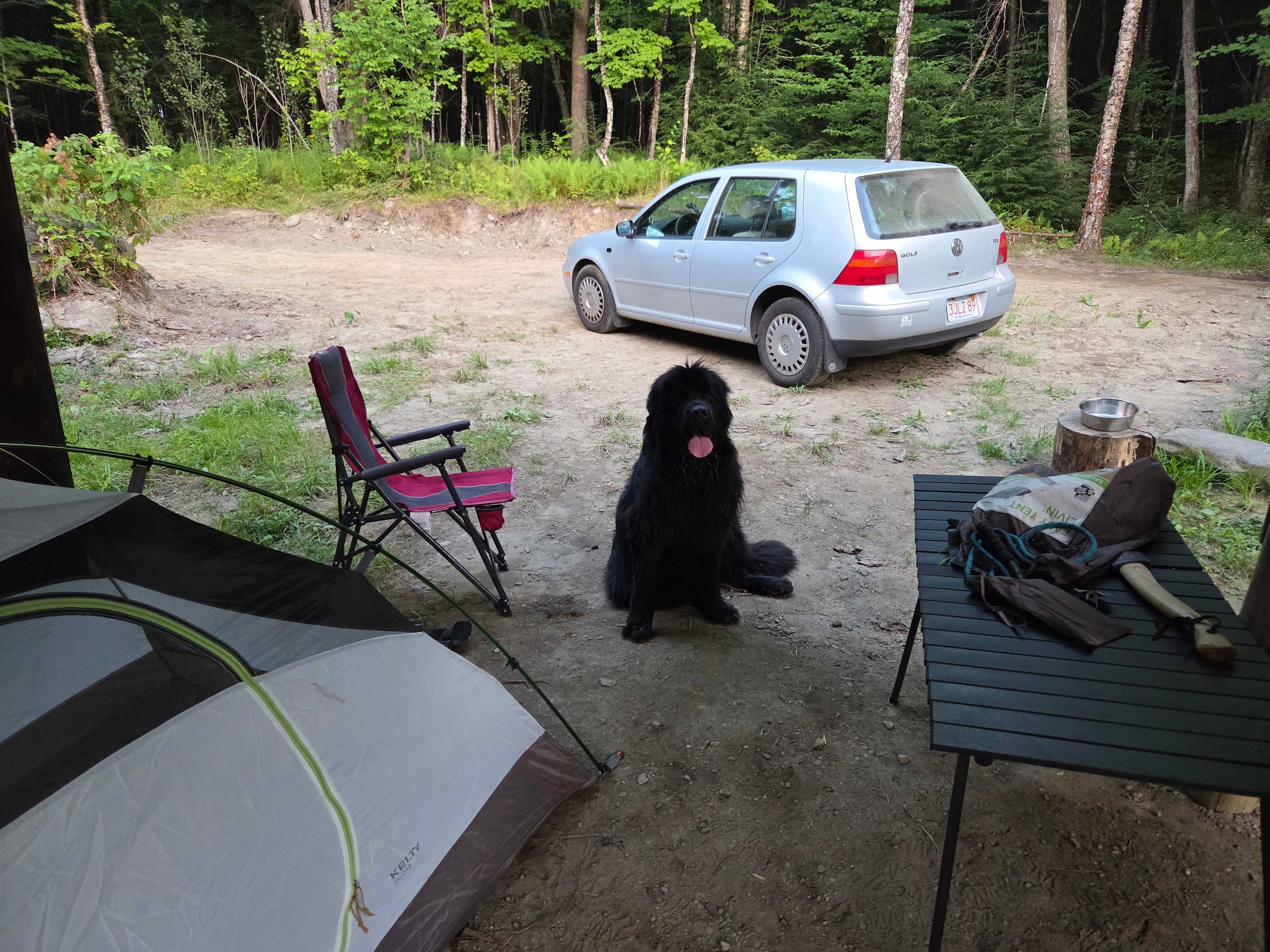 Plenty of space for my dog too!!