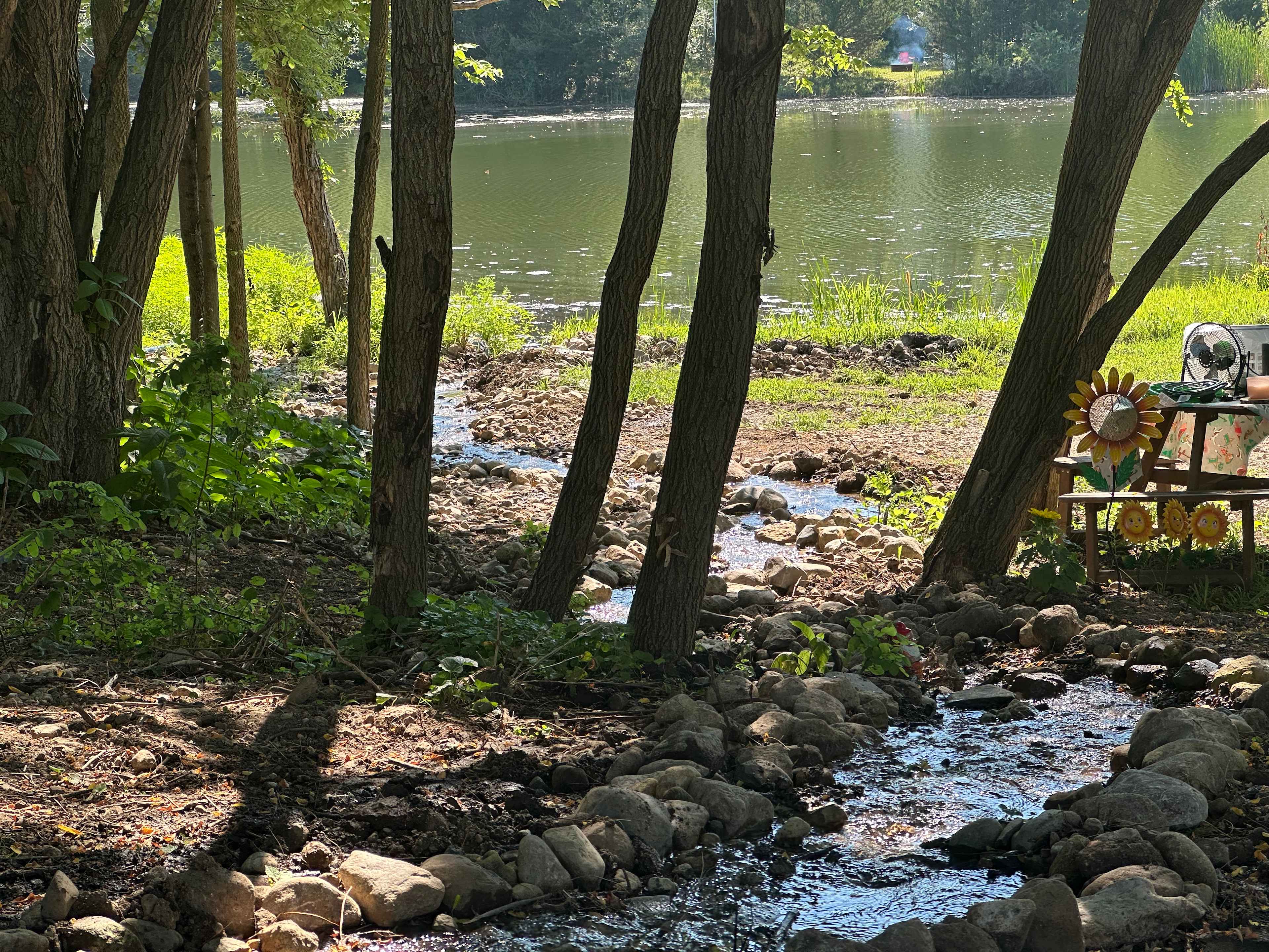 Stream and pond