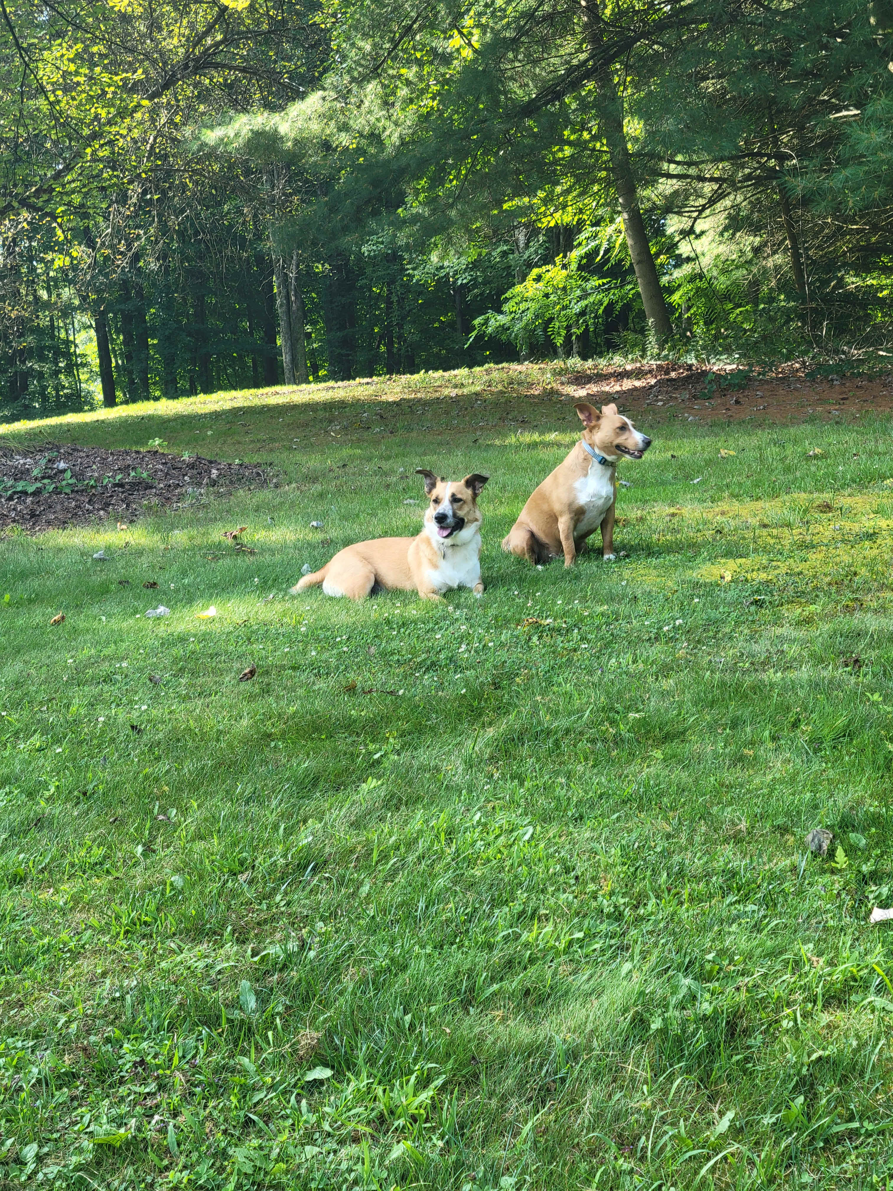 Bill S. and Nancy's property