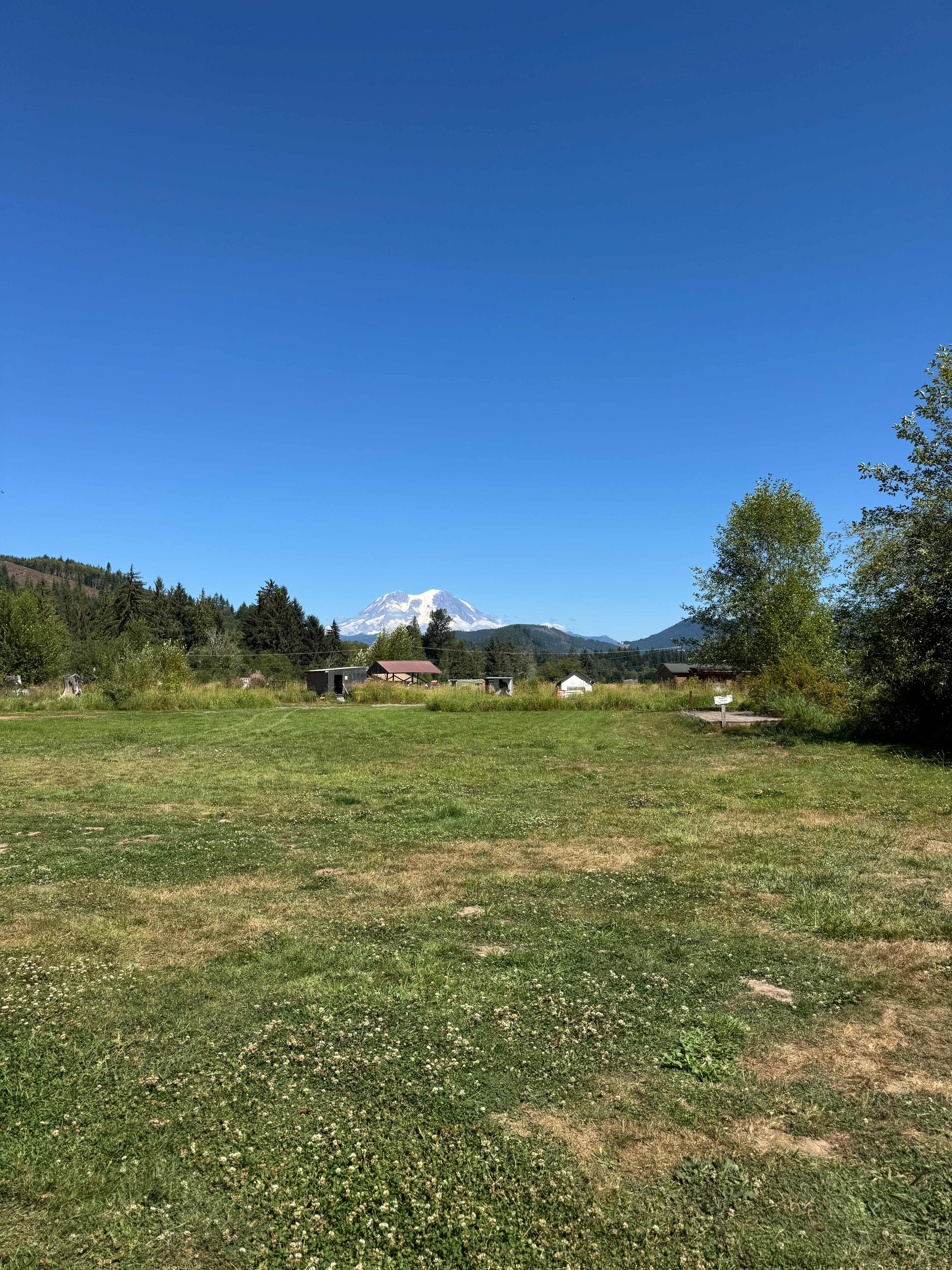 Misty Meadows Adventures Mt.Rainier