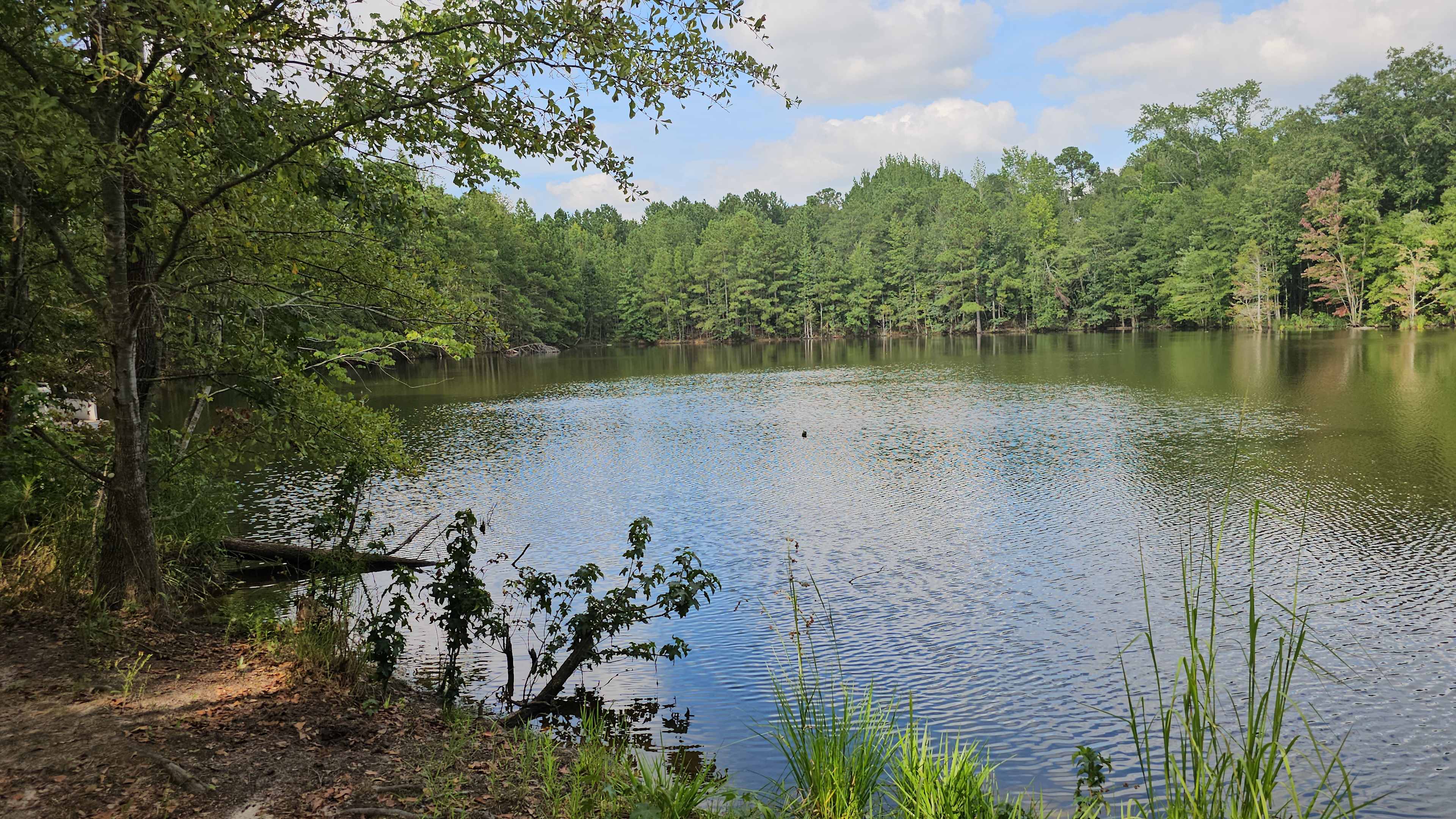 Scott’s Lakeview Camp and Park