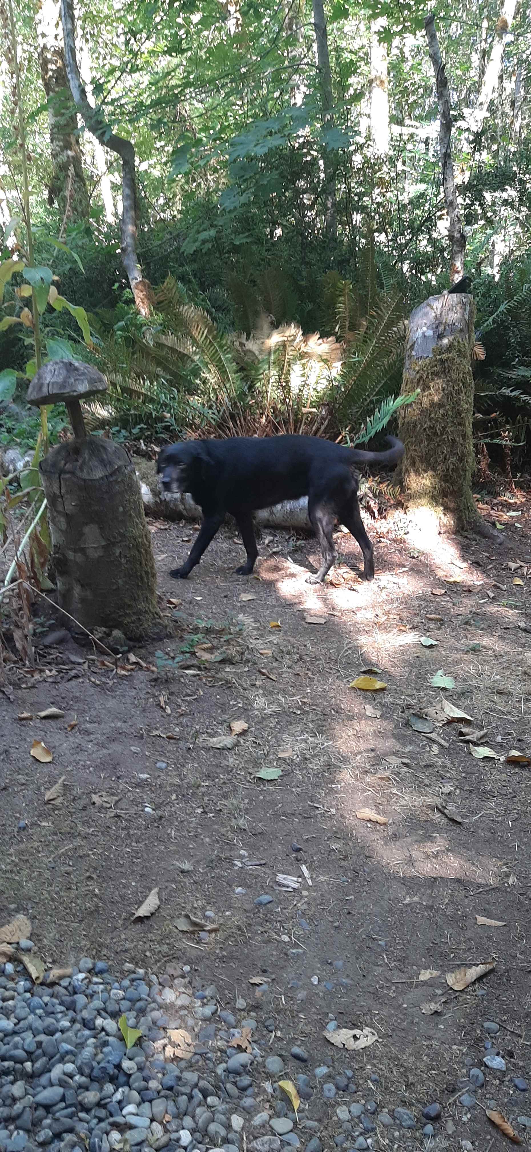 Neighborwood: An Eco Retreat