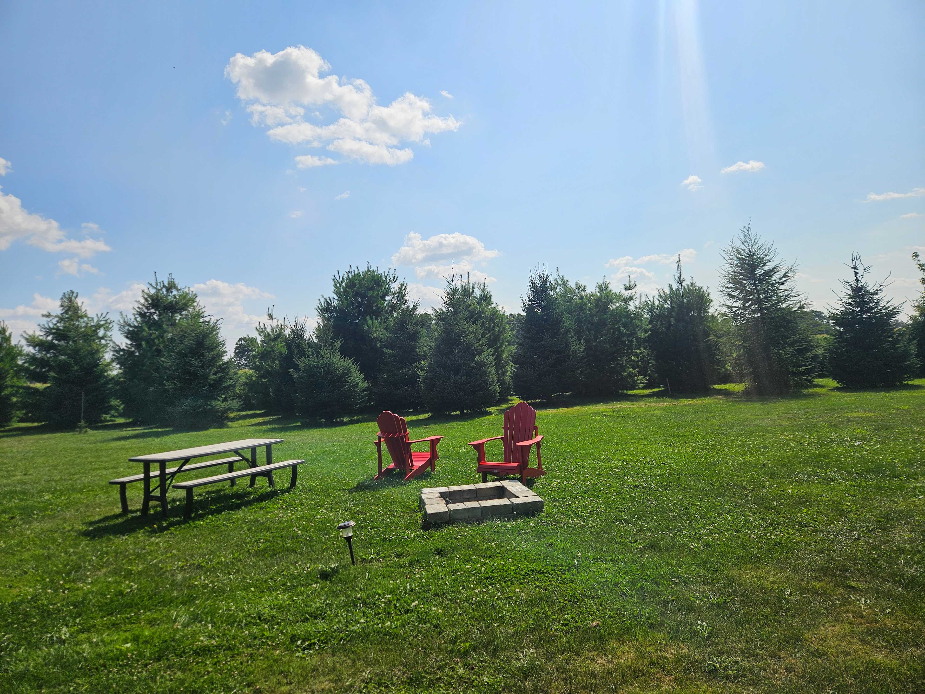 Hidden Oasis Near Elora