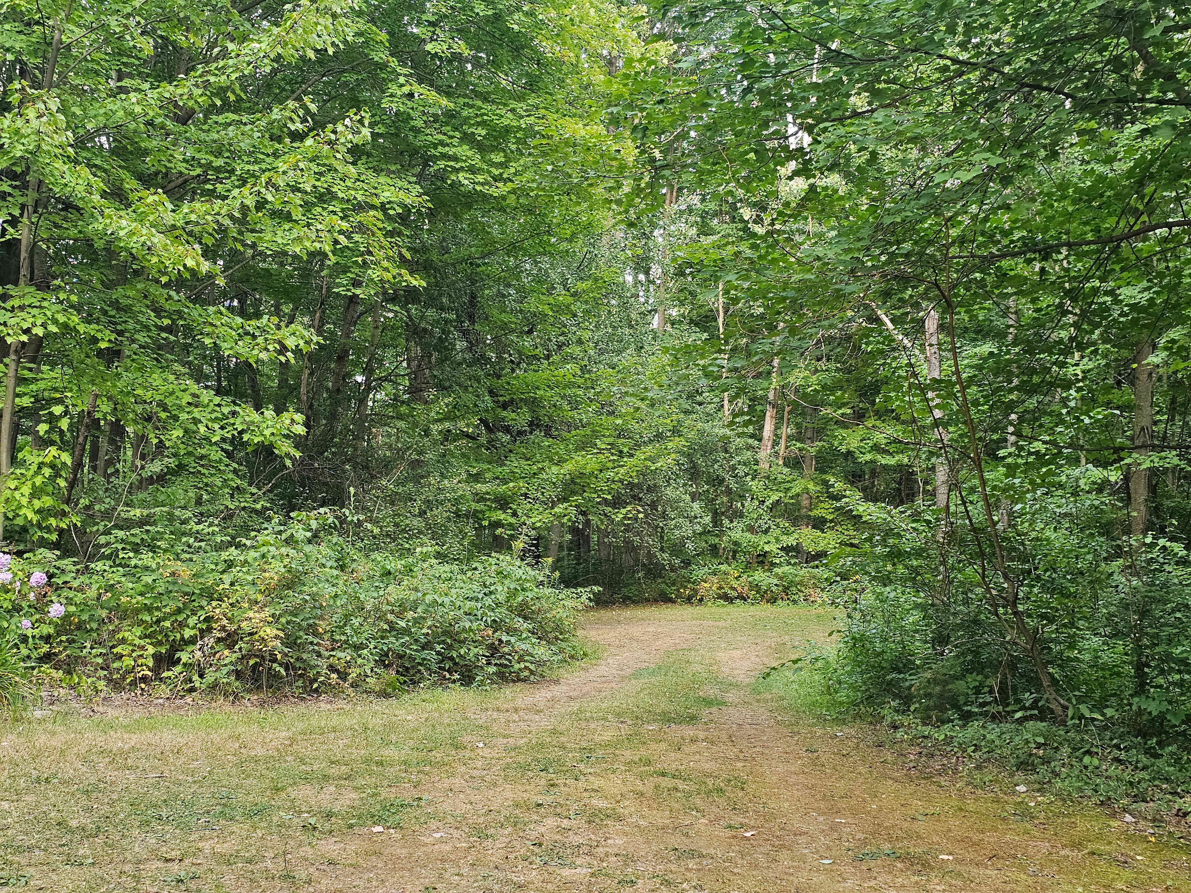 Whispering Pines - Curran, Ontario