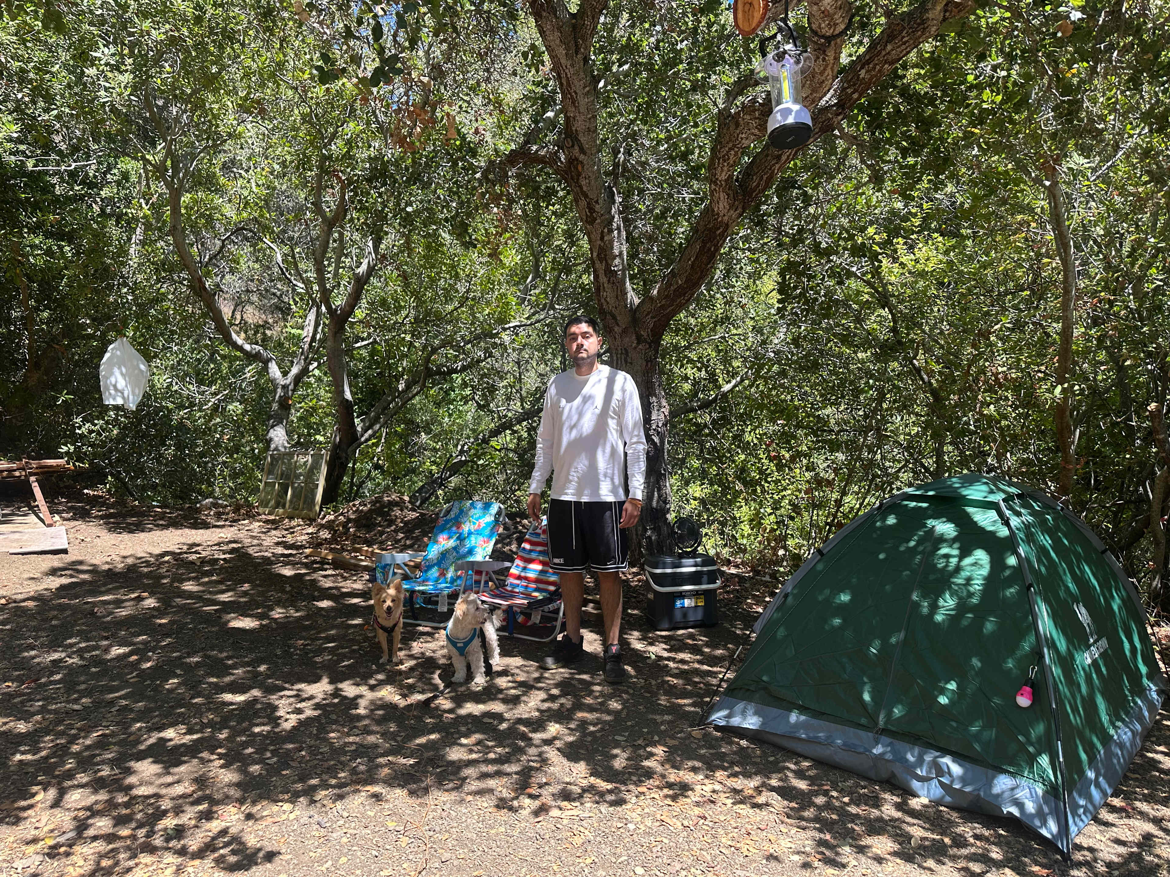 Creekside Camping and Mineral Baths