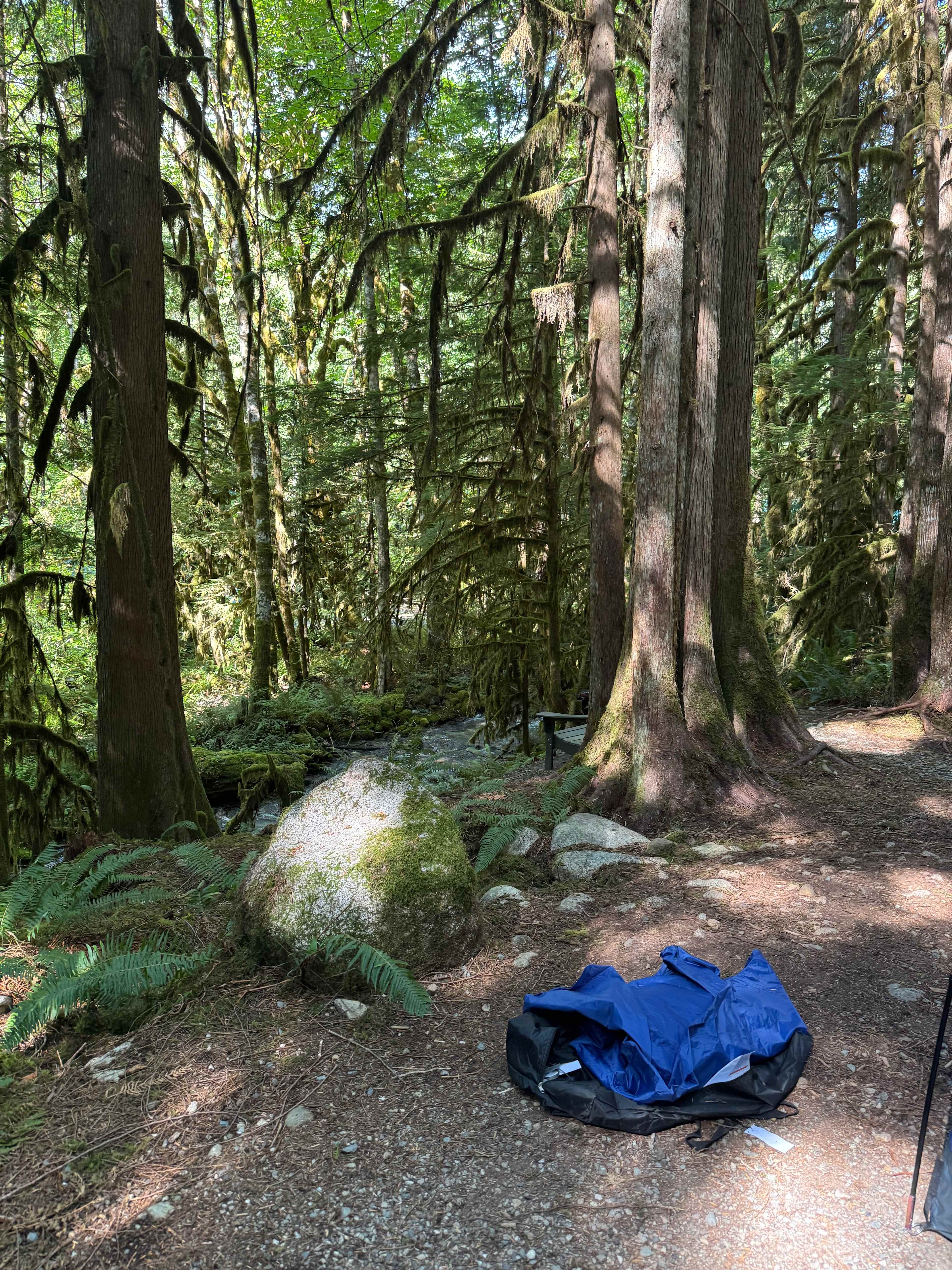 Winedown Camp at Boulder Creek