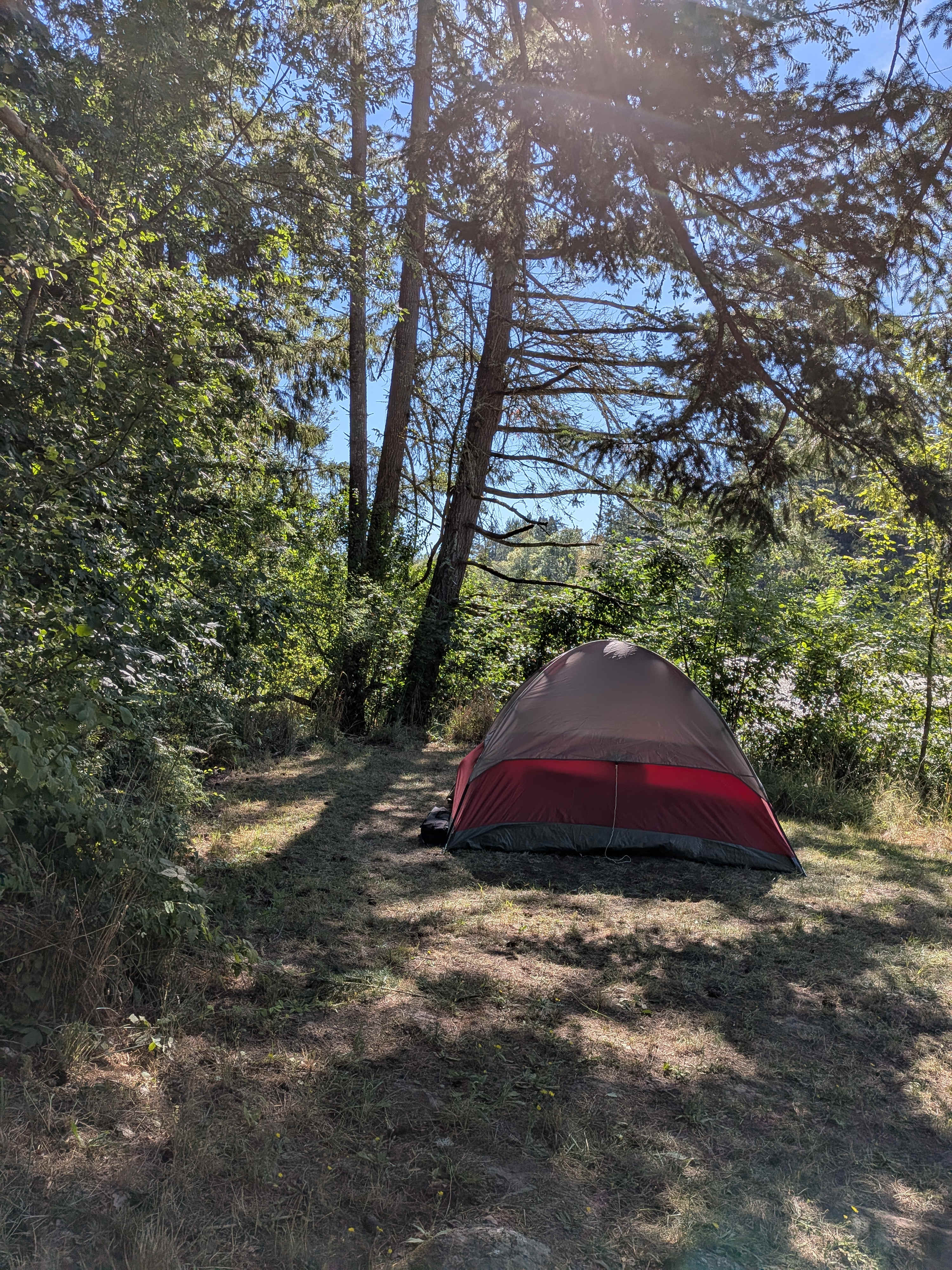 Luna Lake Vineyard Camp