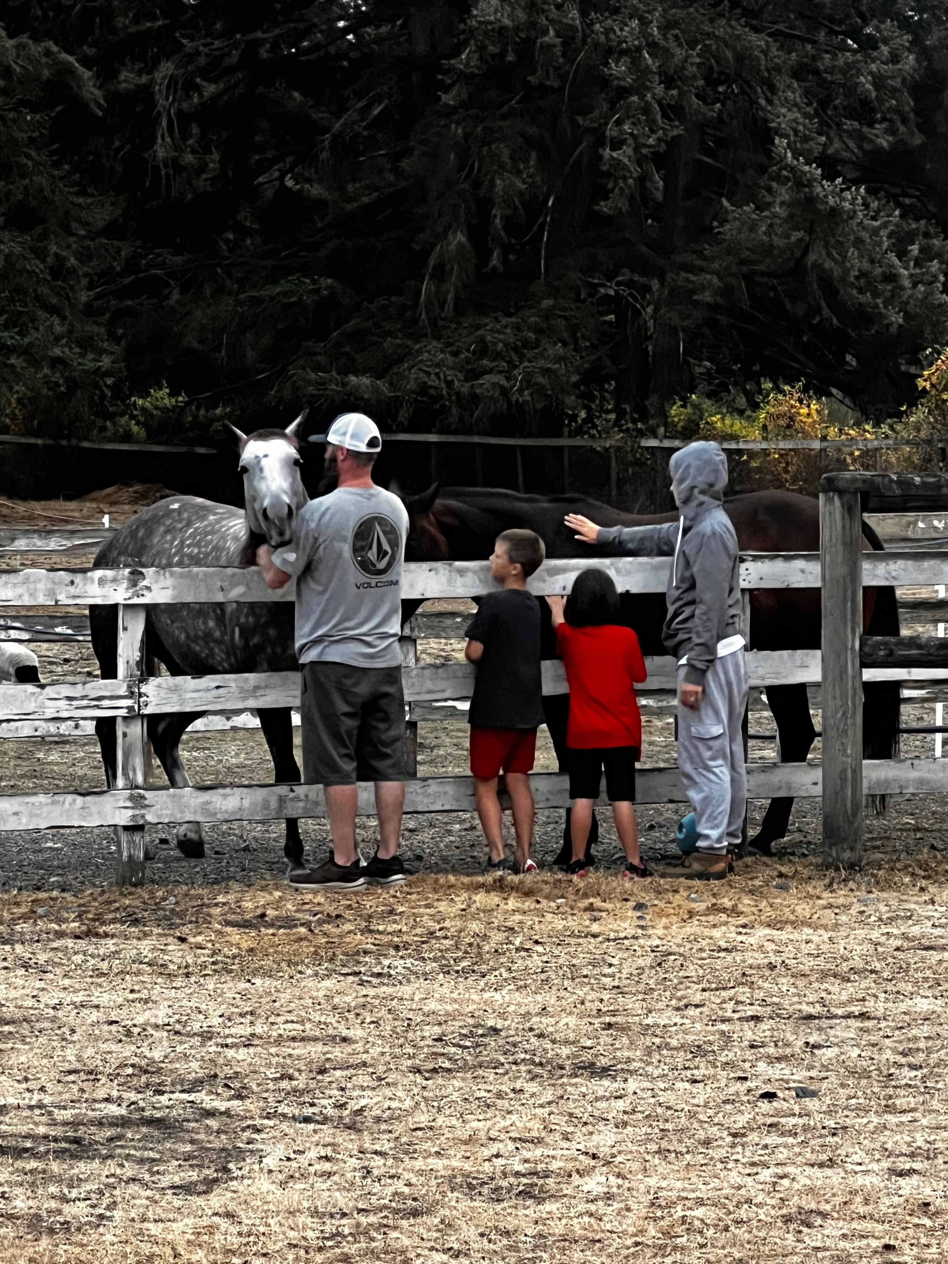 The Happy Horse Farm