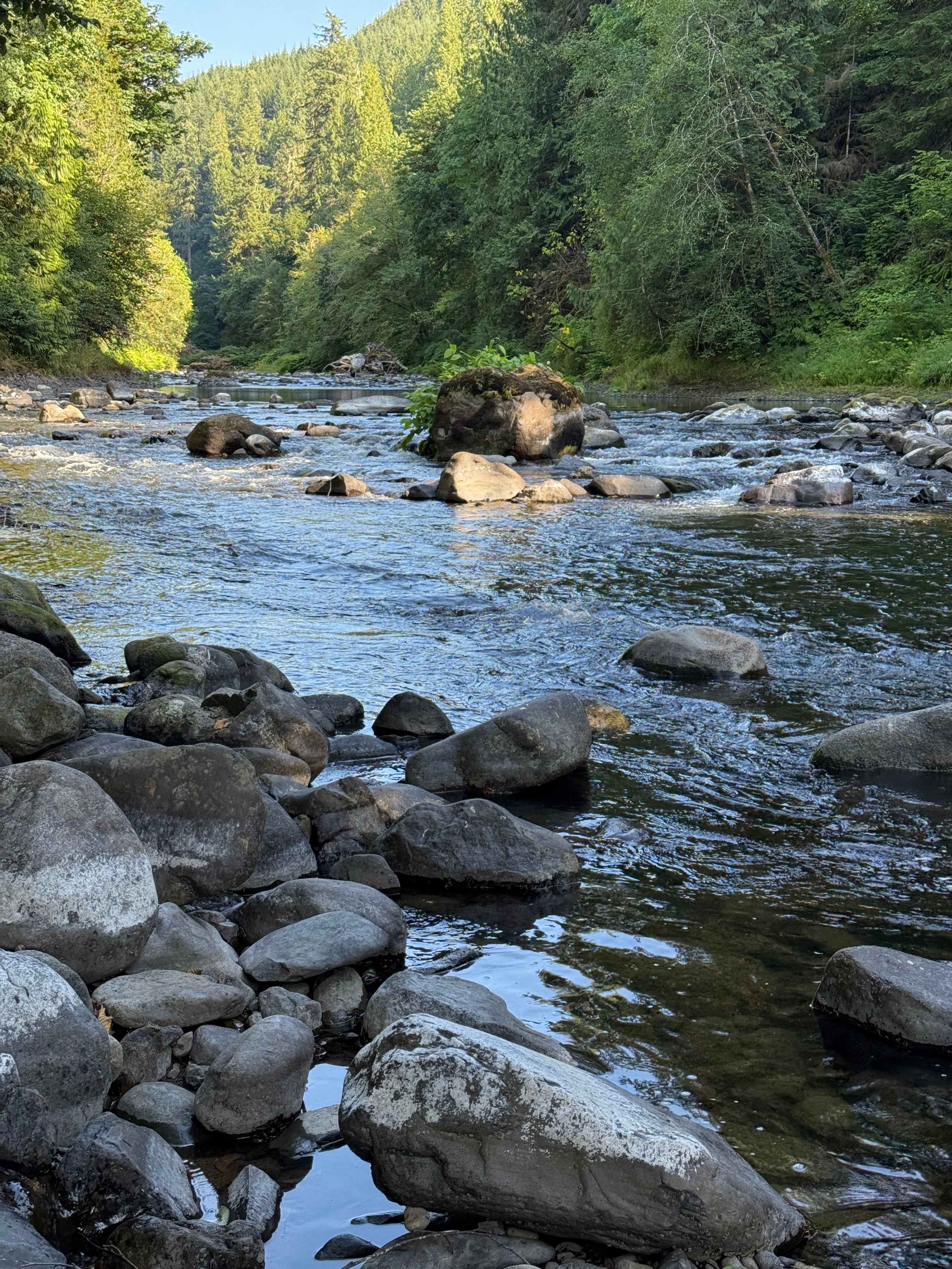 The Arboretum at Bear Canyon West