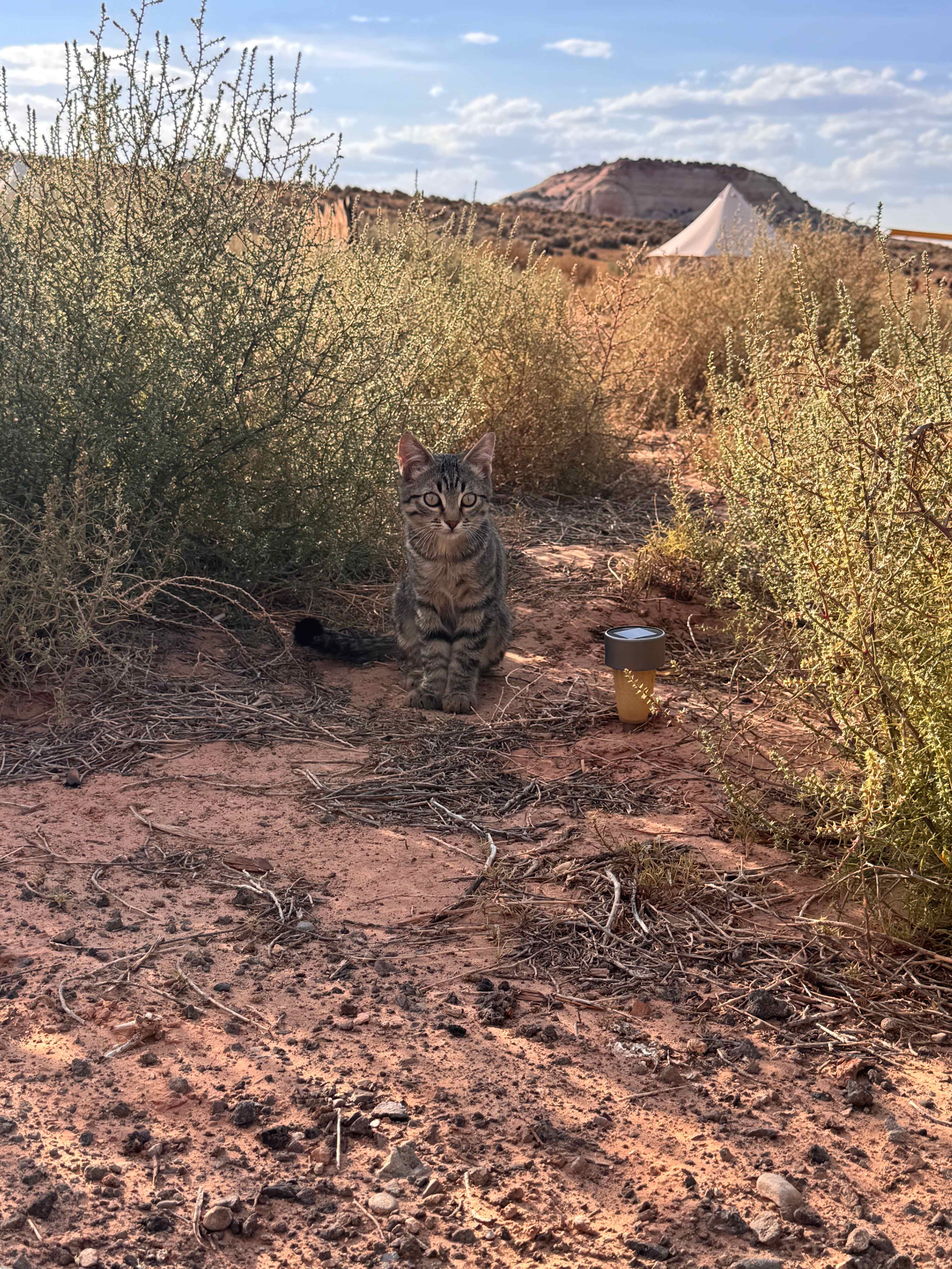 Glamping Canyonlands