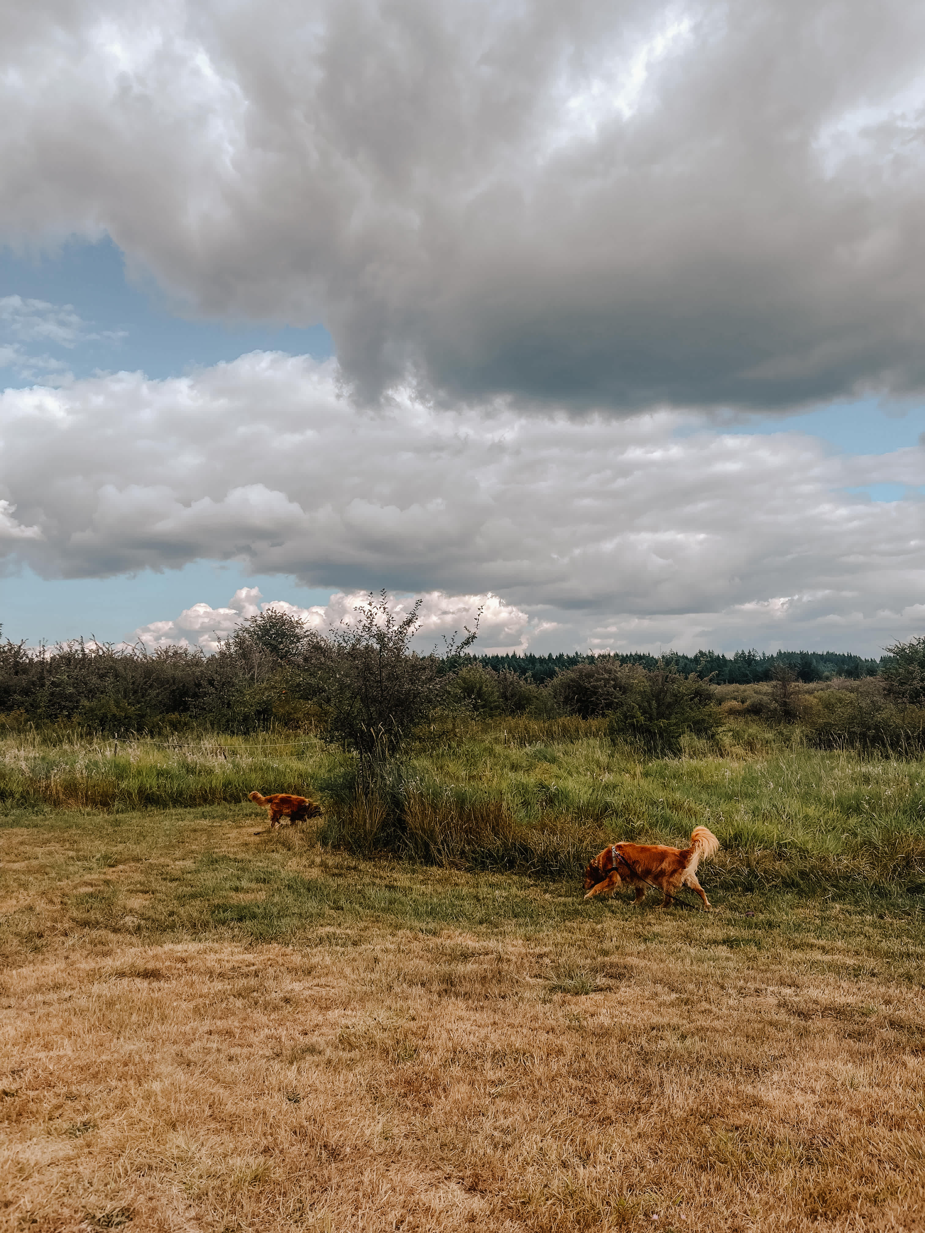 Summit Farms: Peaceful & Enjoyable