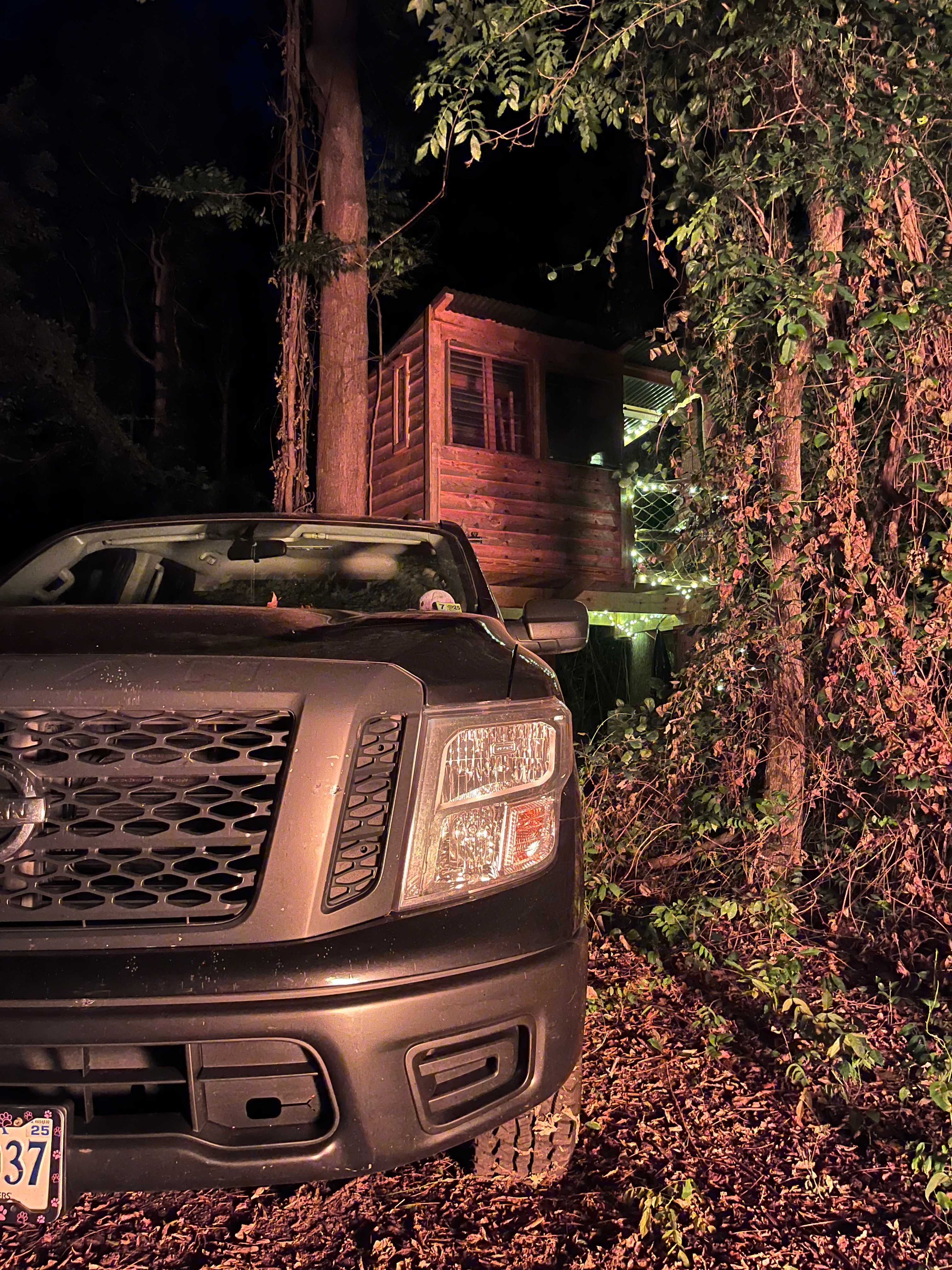 The Guinea Farm, Field, and Forest