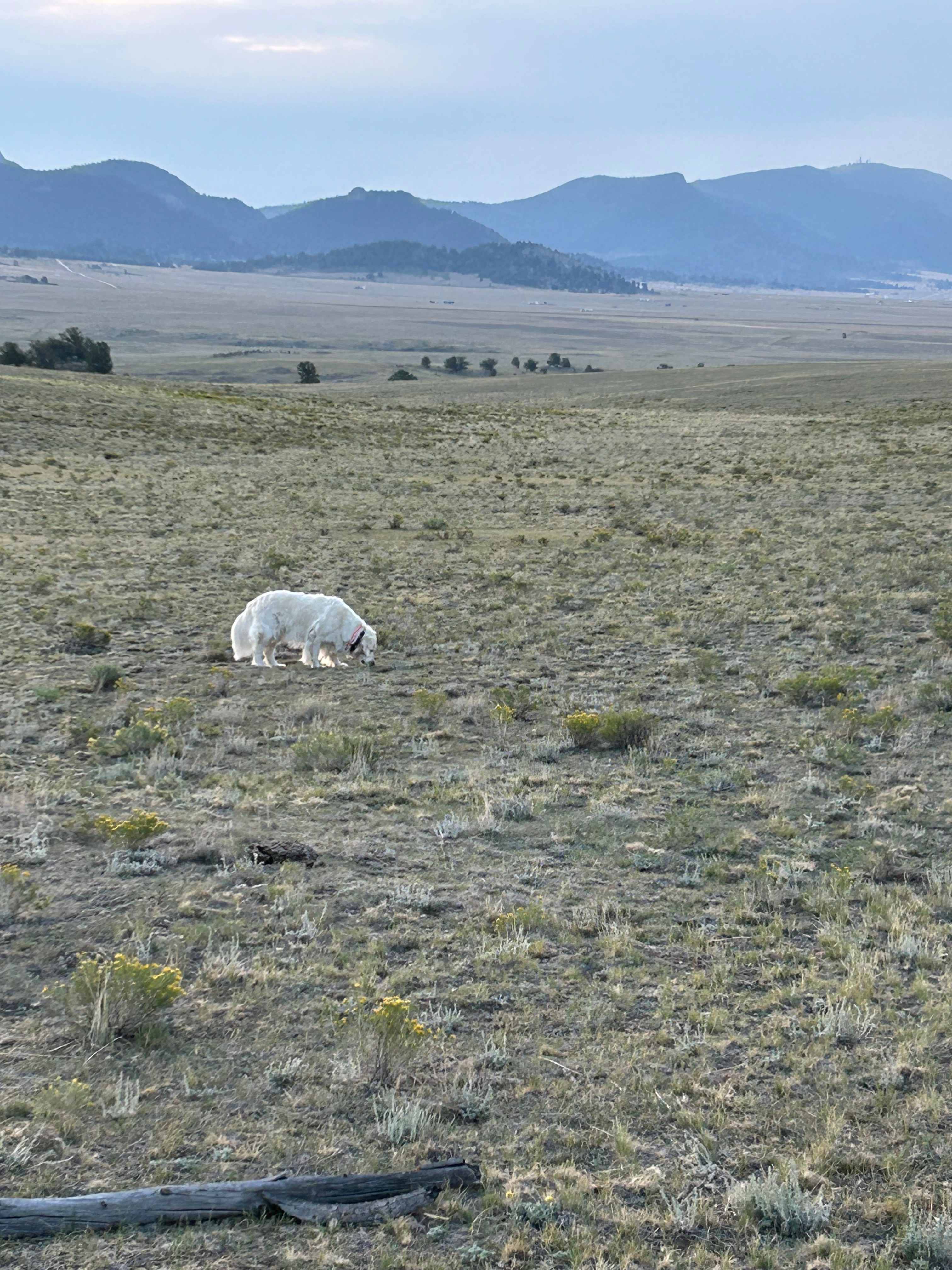 Observatory At South Park