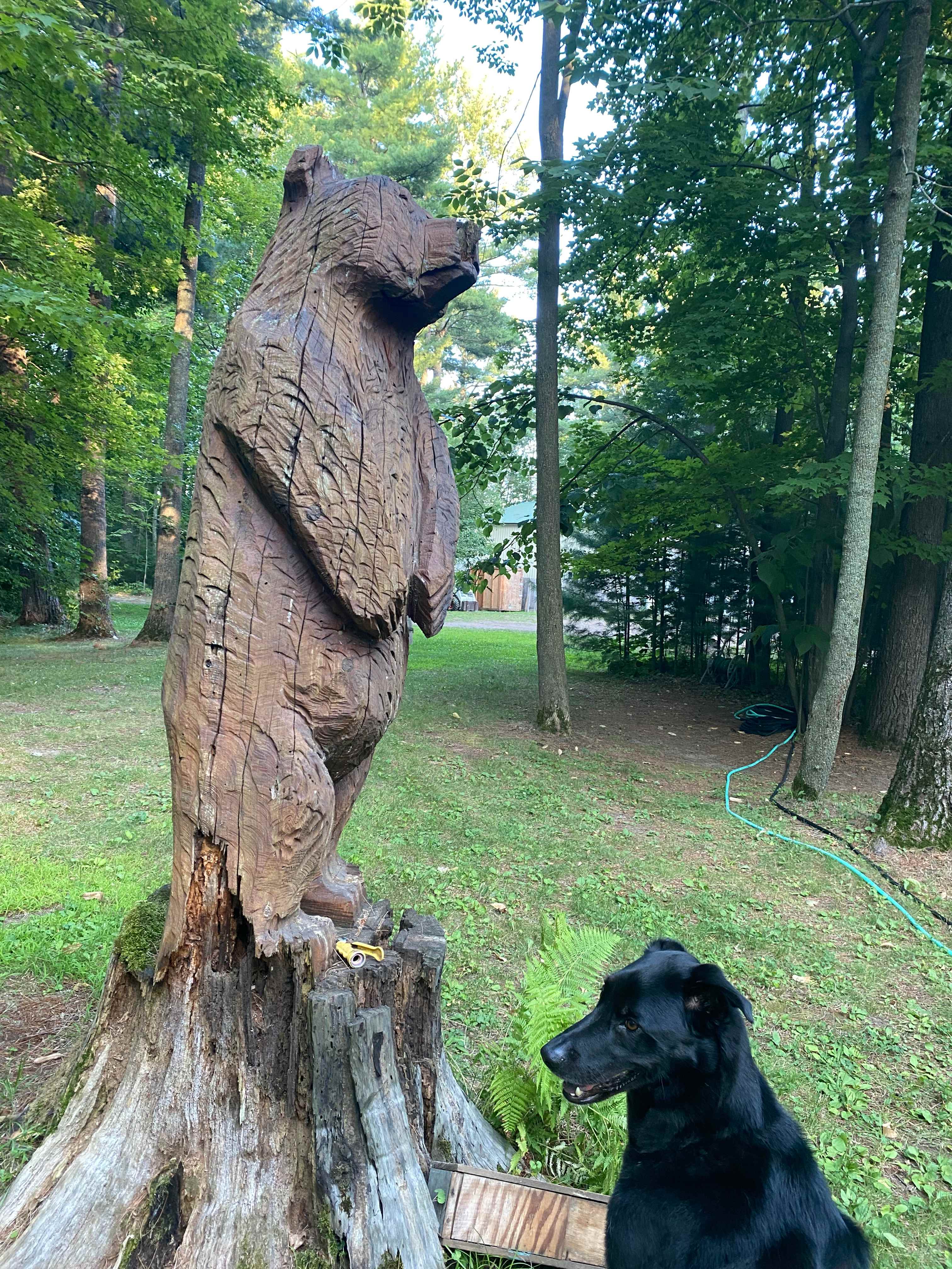 Even made a friend!