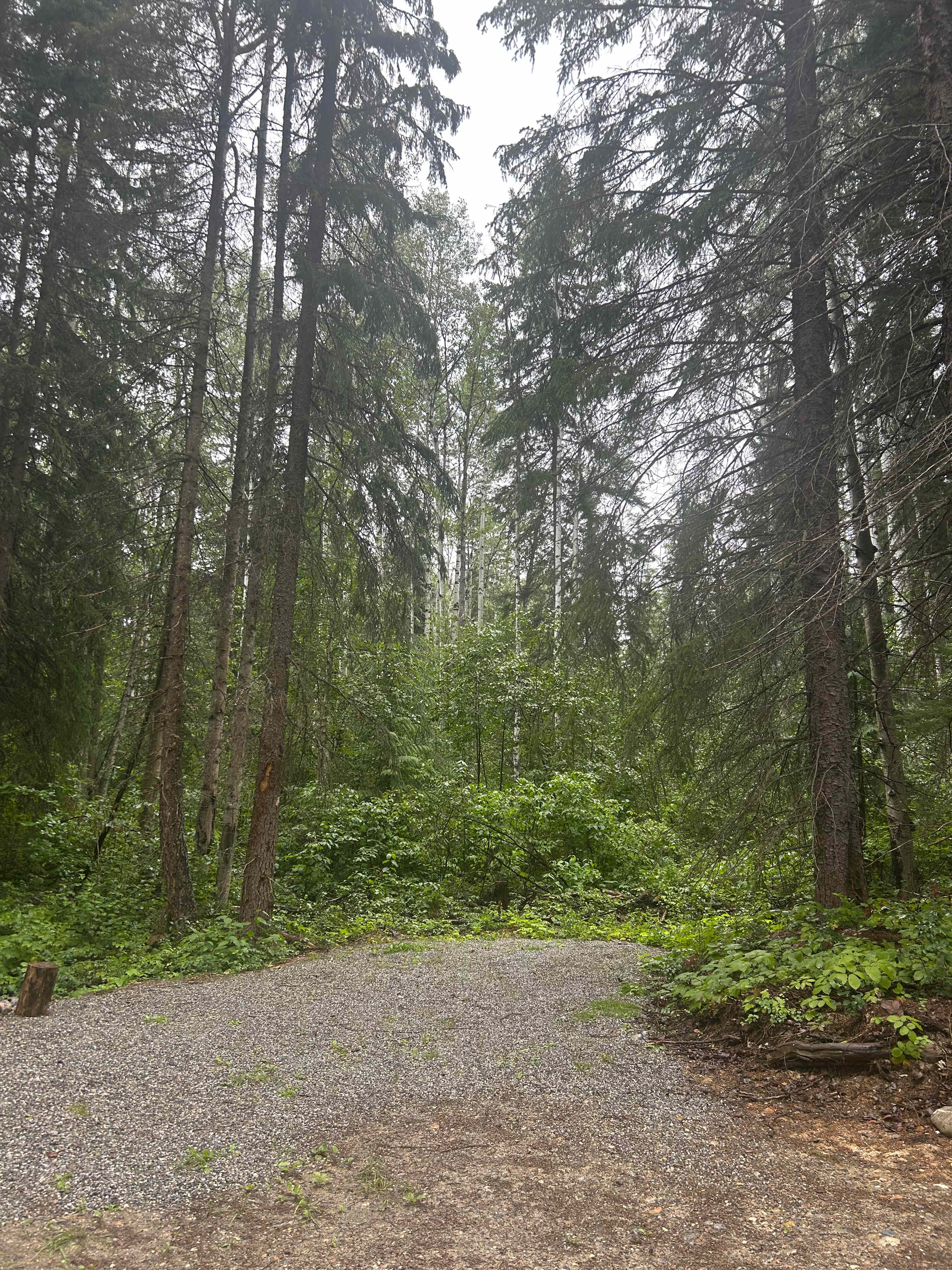 Whispering Forest Campground