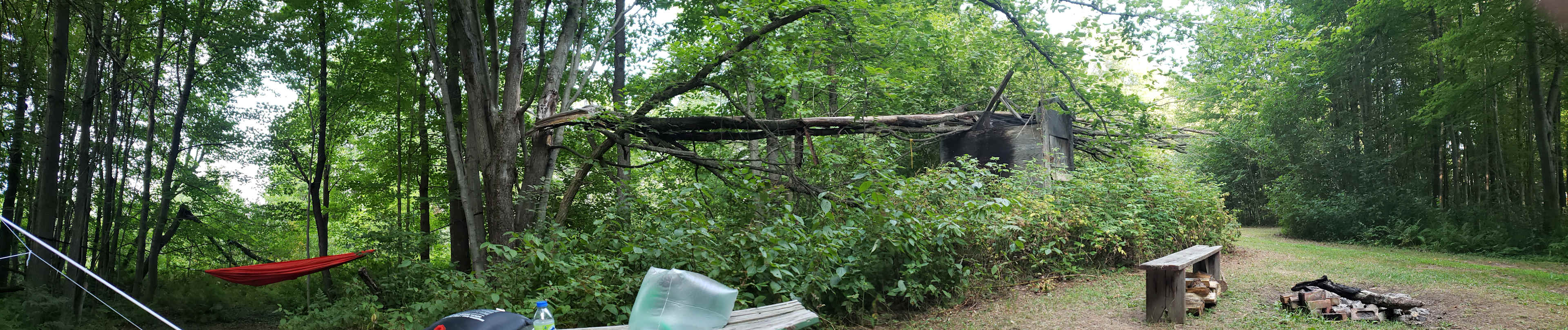 Whispering Pines - Curran, Ontario