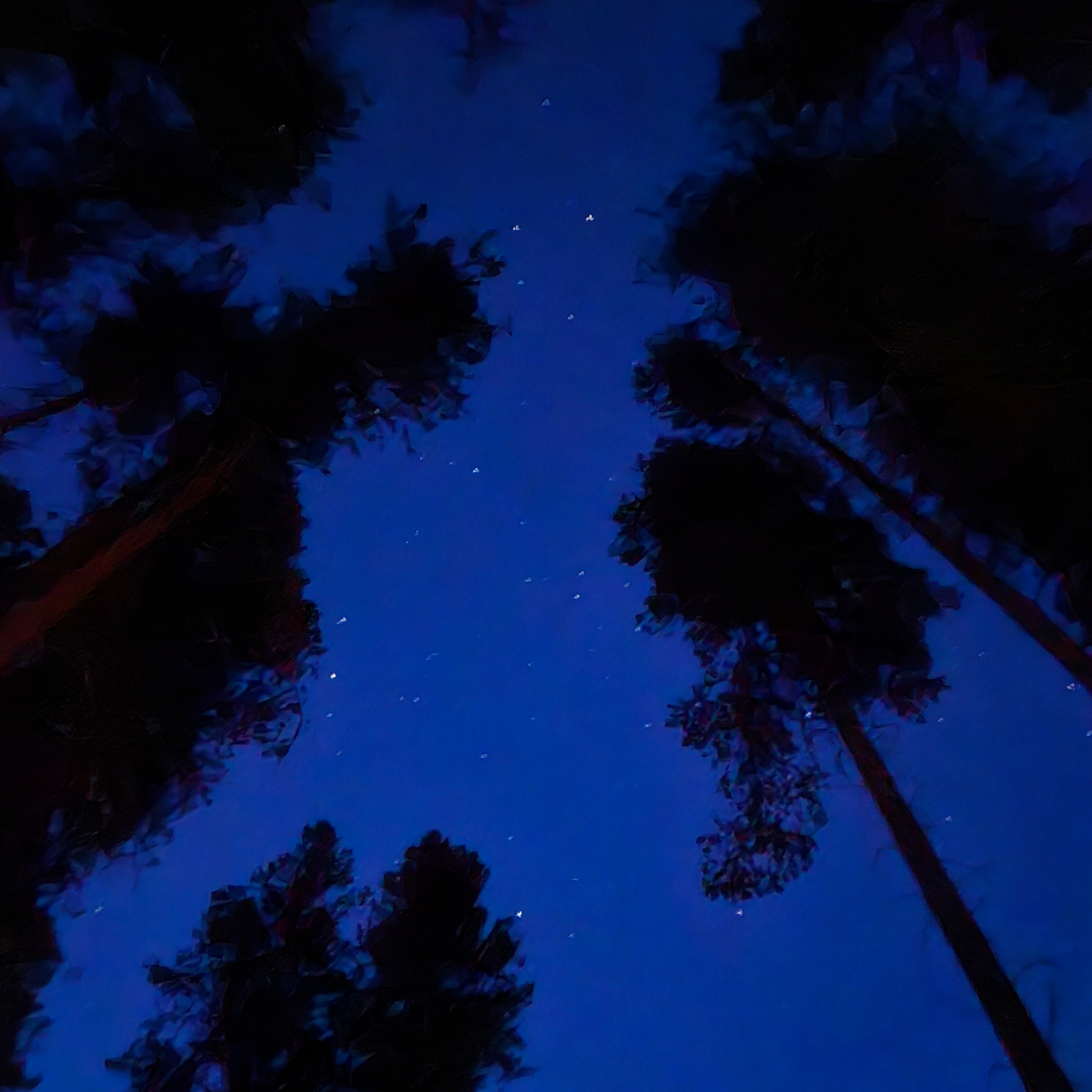The stars were bright! 