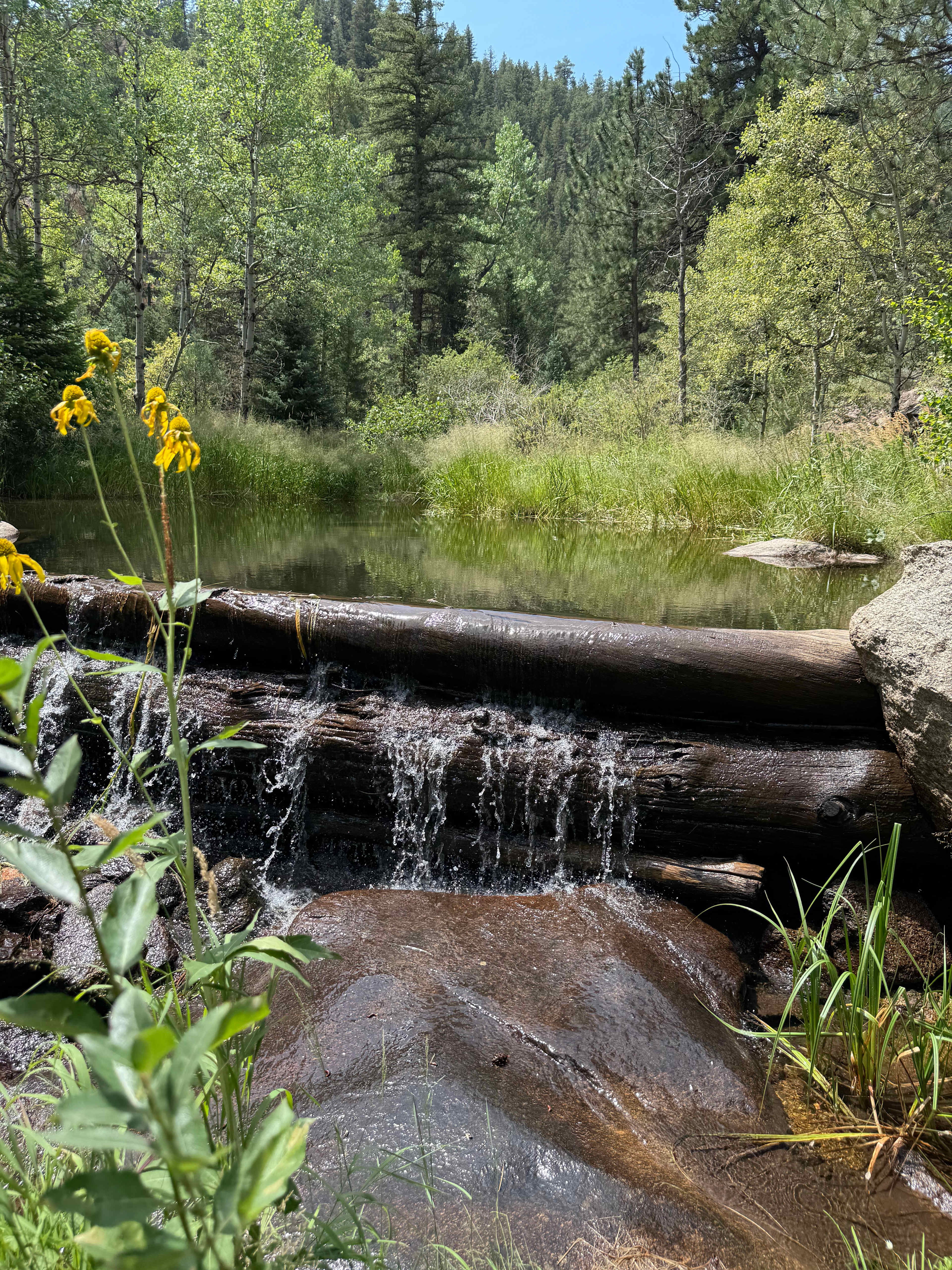 Rocky Mountain Glamping