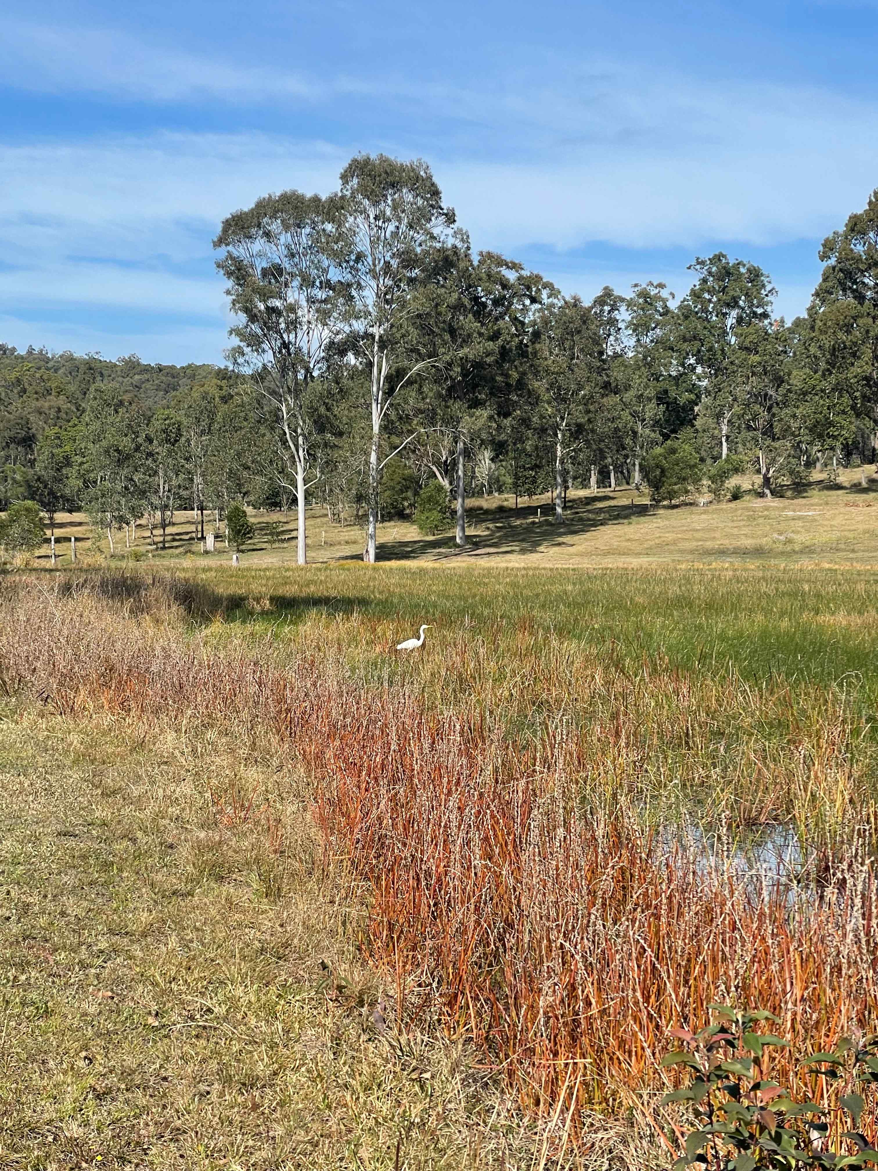 TerraLyra Sanctuary Retreat