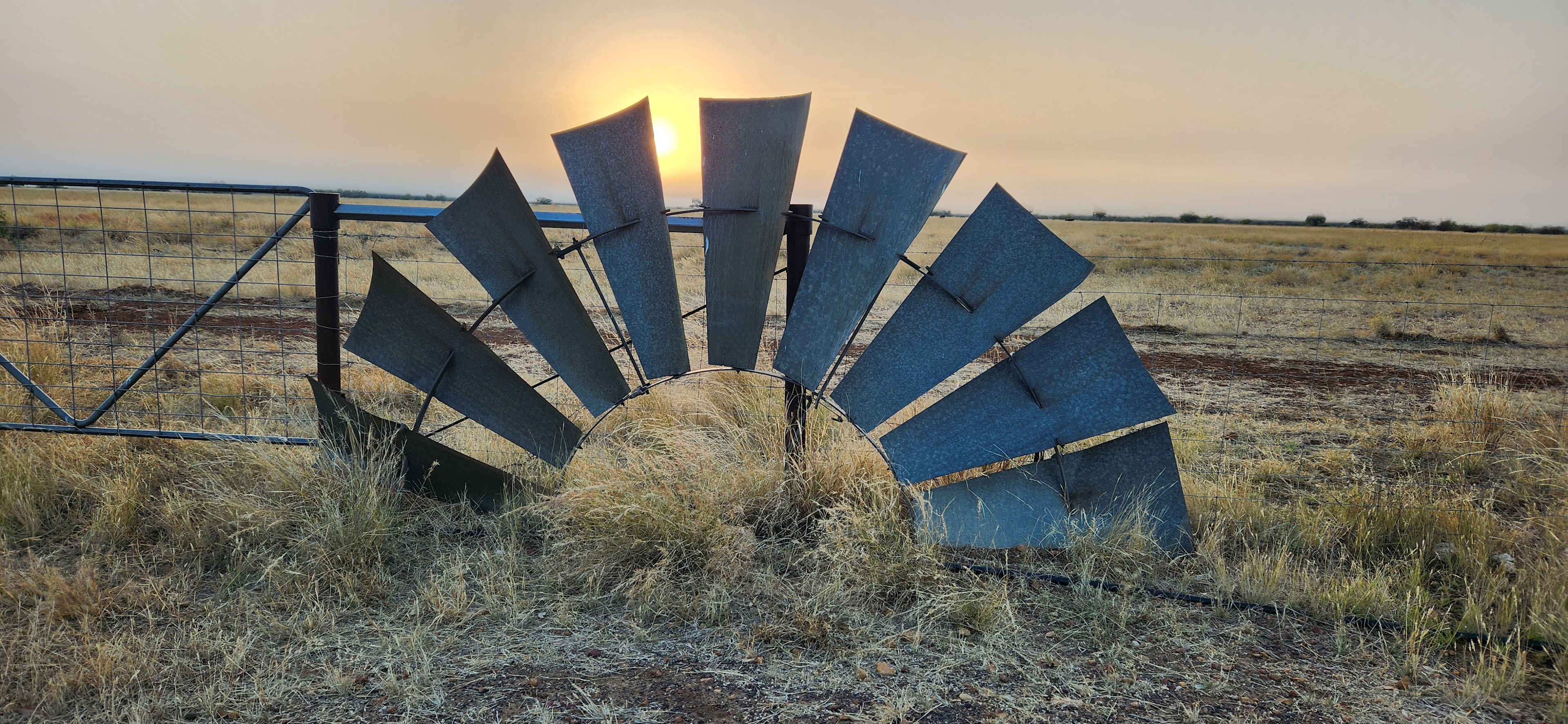 Ayrshire Downs, near Winton