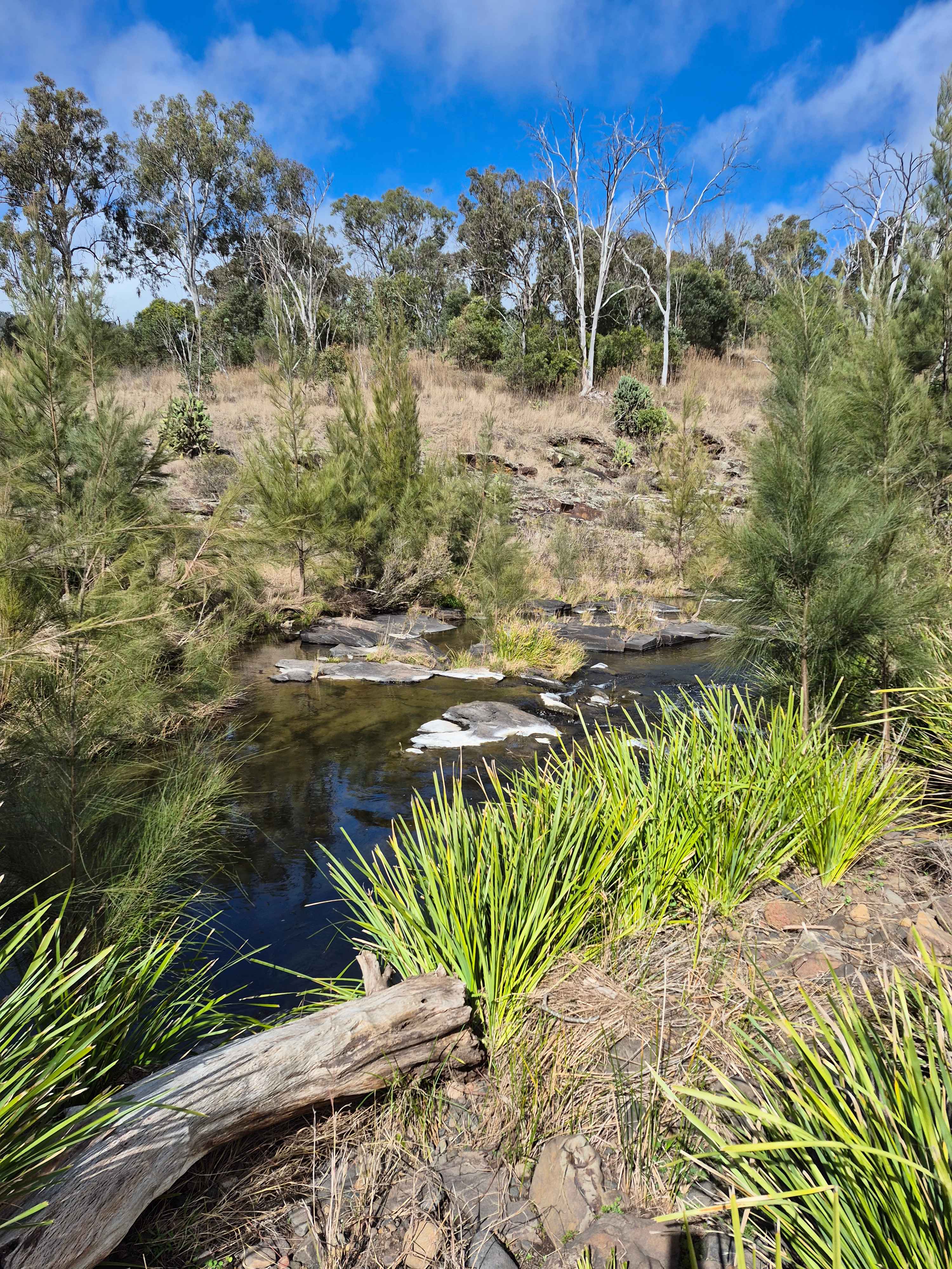 Higgins Country Retreat