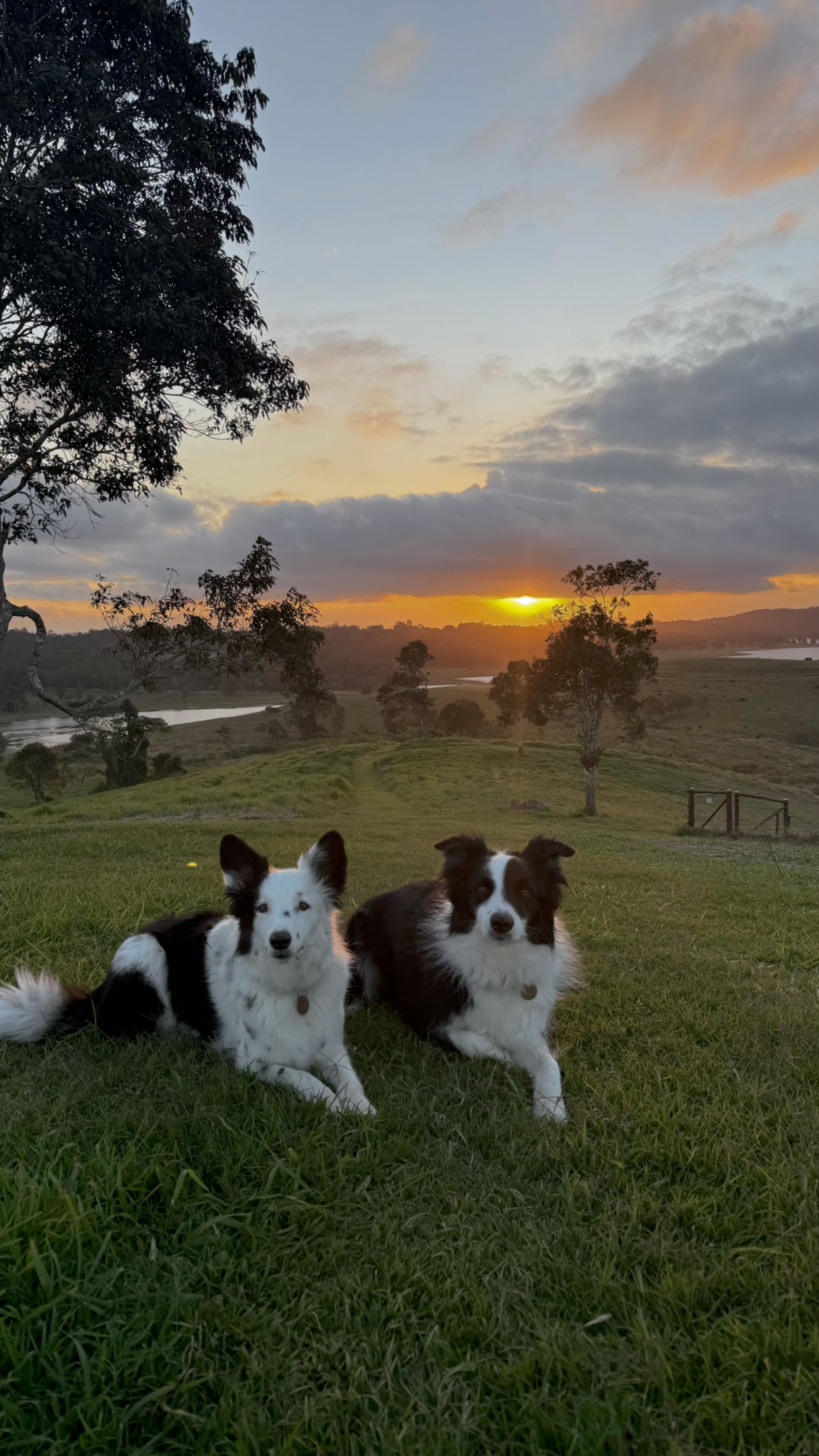 Wakana Ridge Homestead