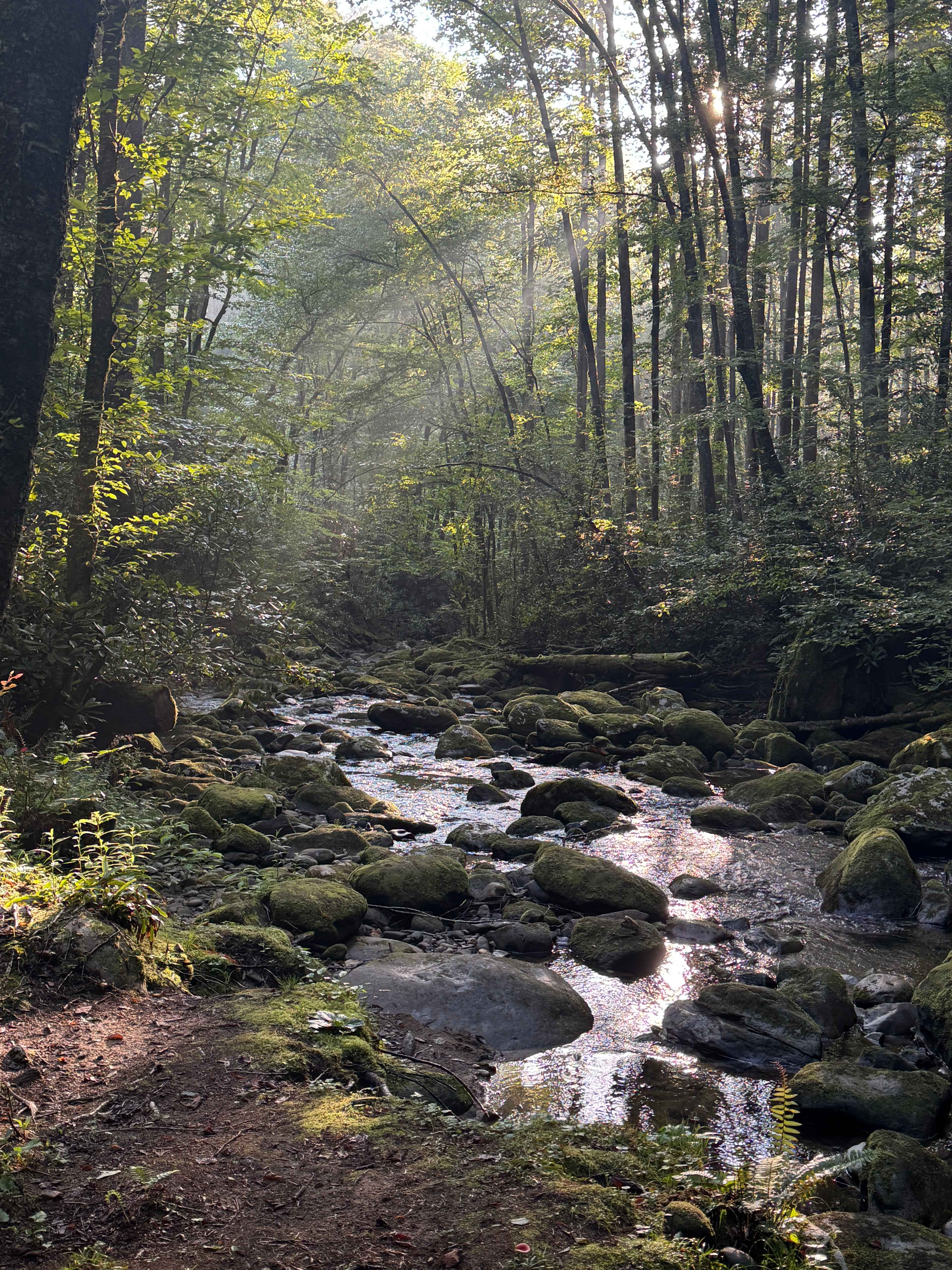 Mountain Creek Rest