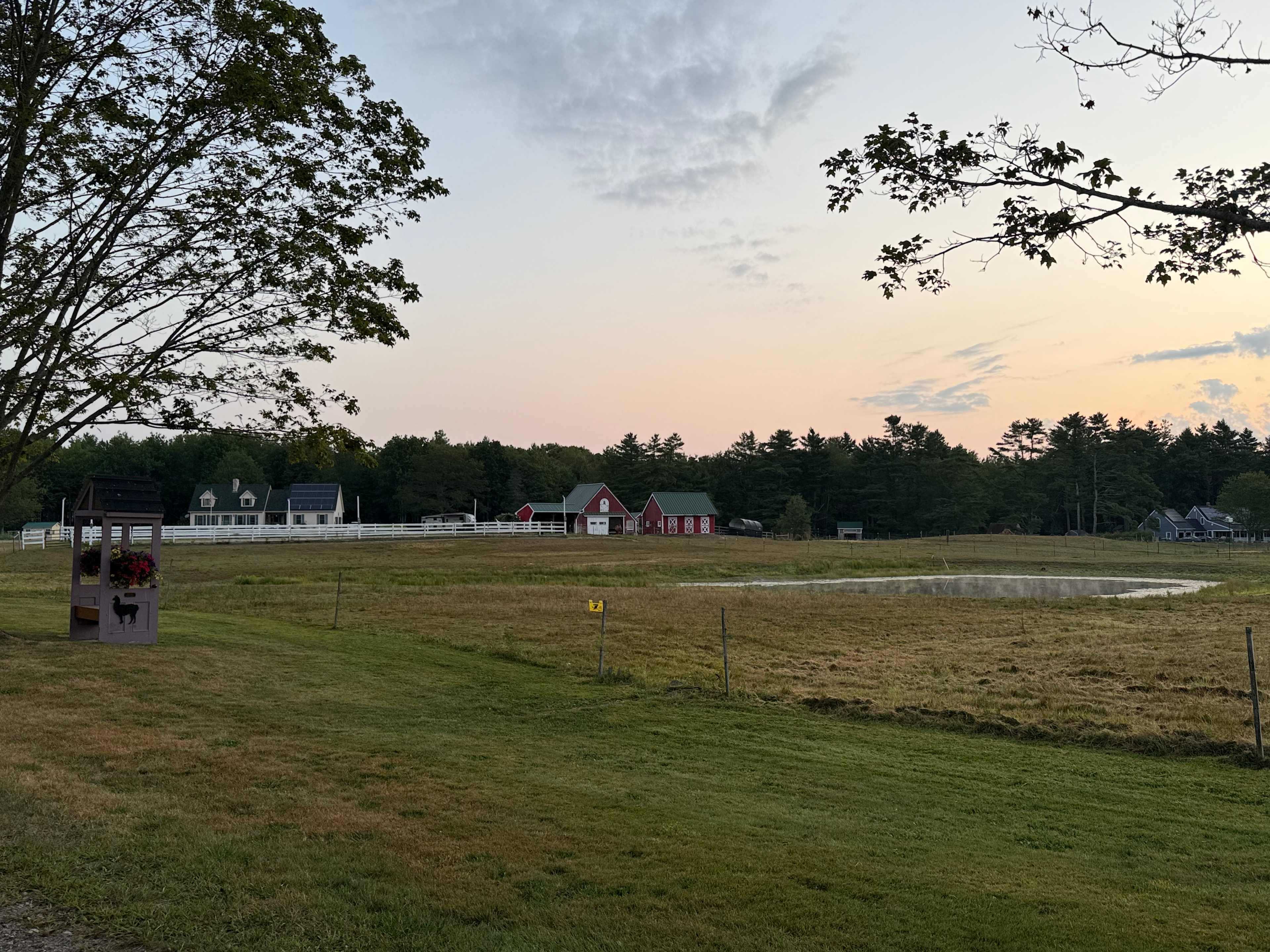 Iris Meadow Farm