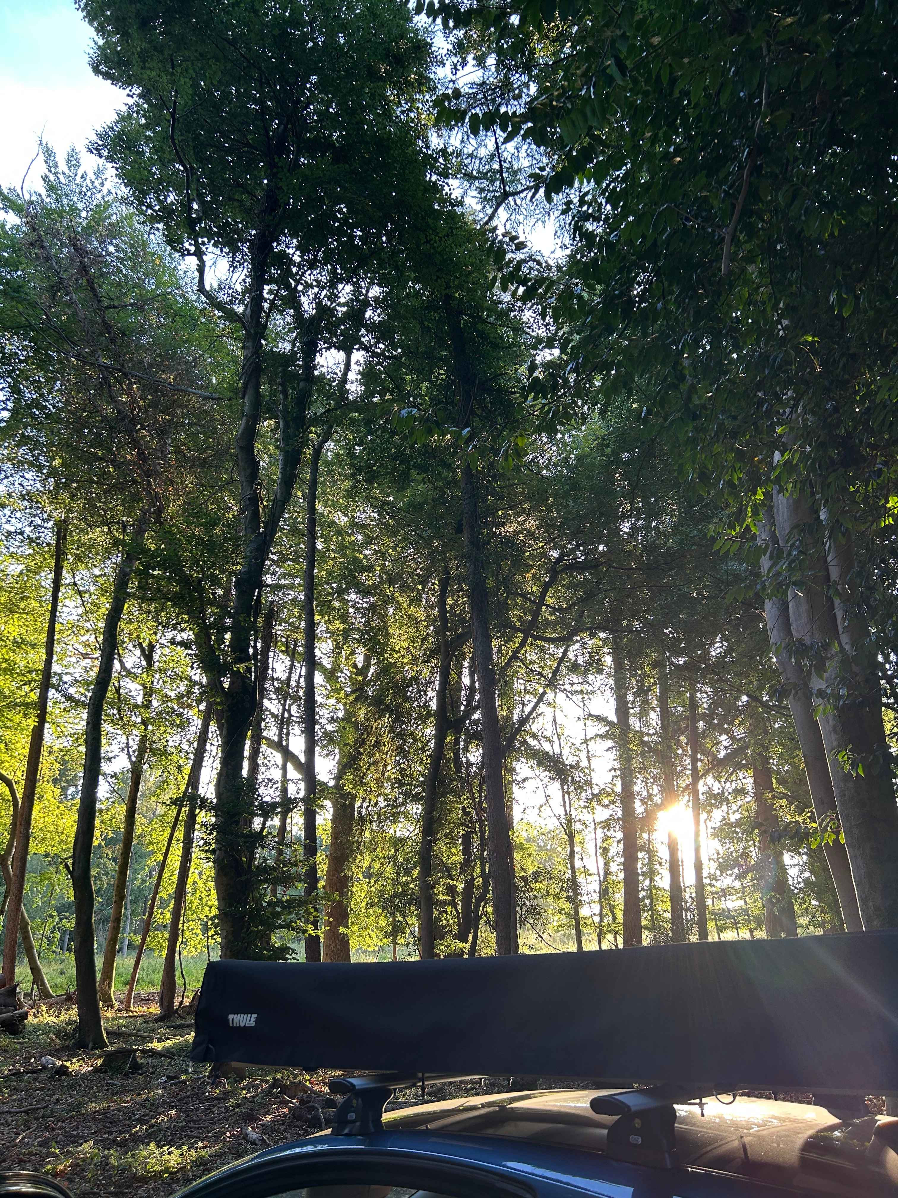 The driveway to the site. 