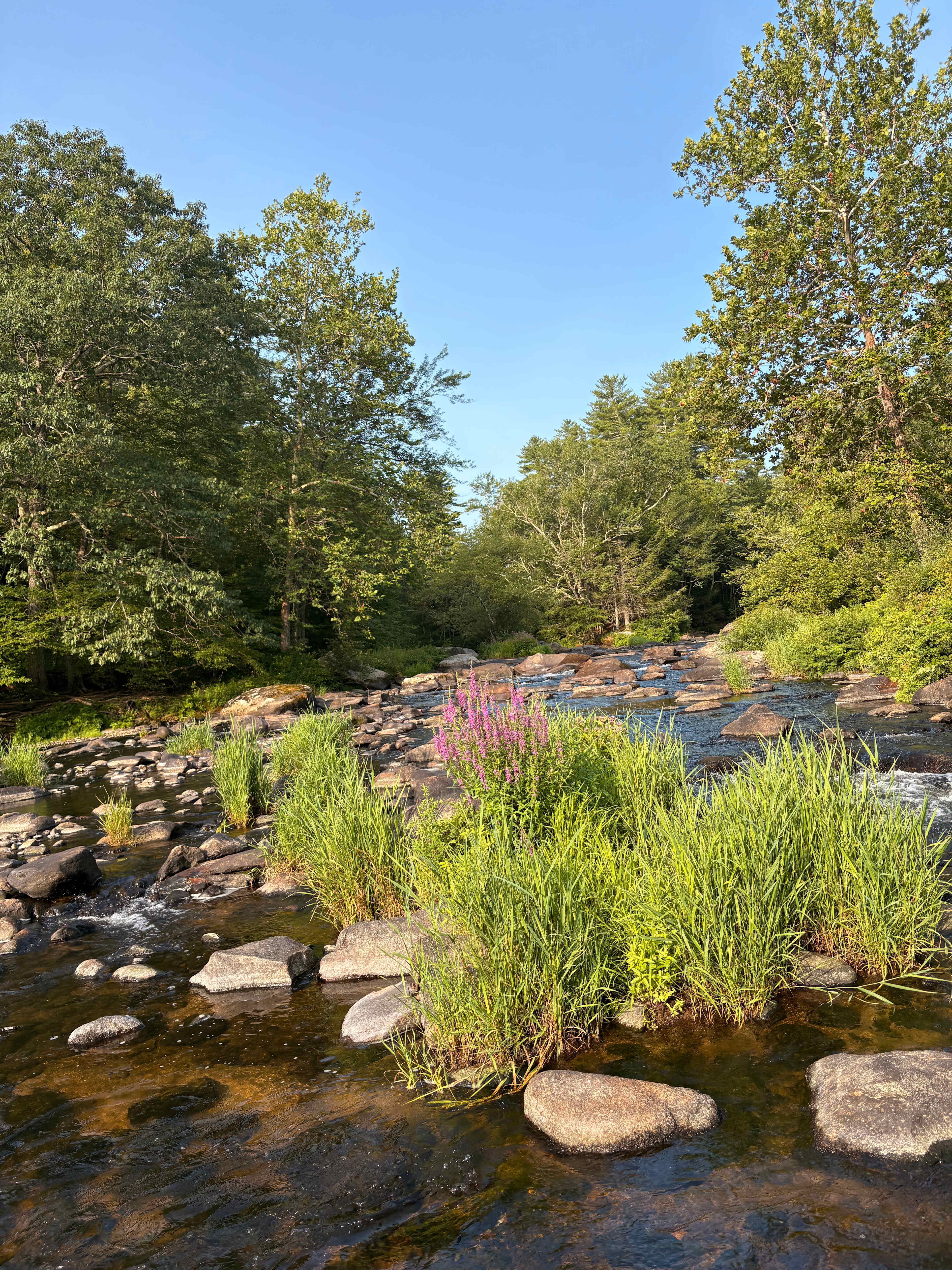 Souhegan Shores