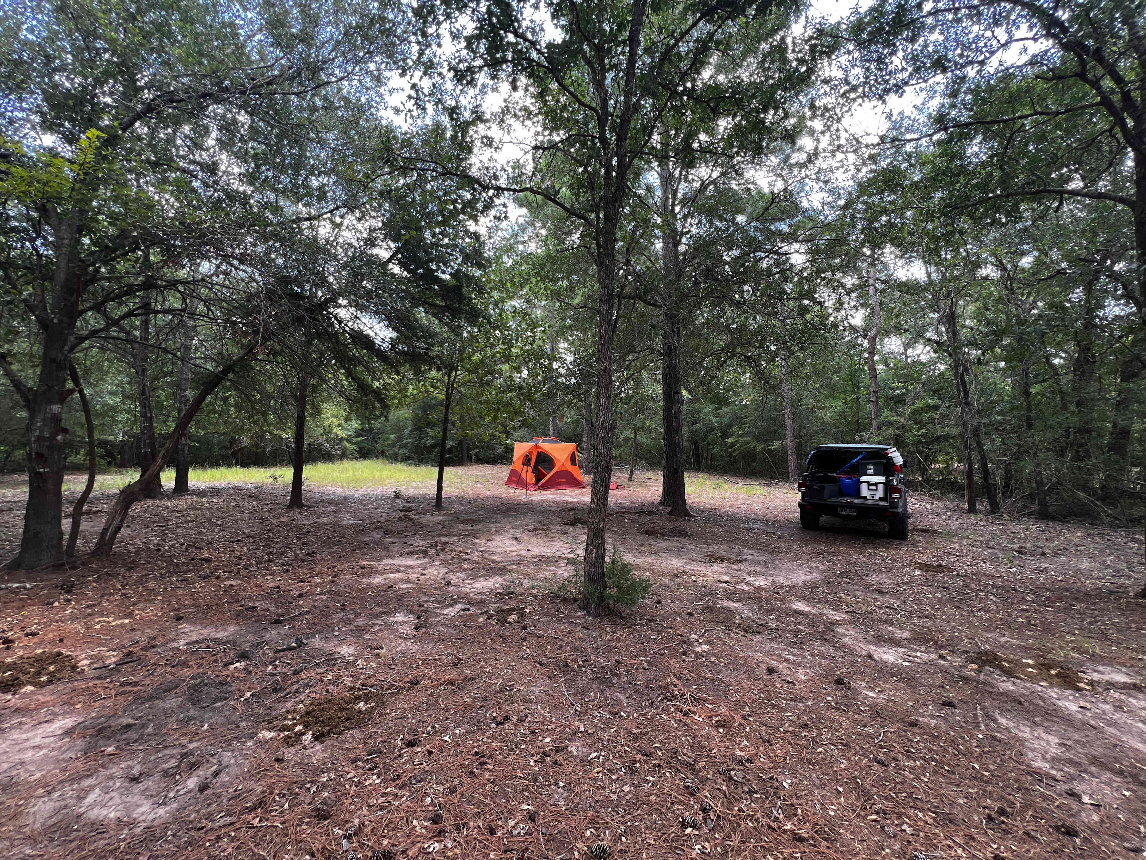 Briers  Ranch Primitive Camping