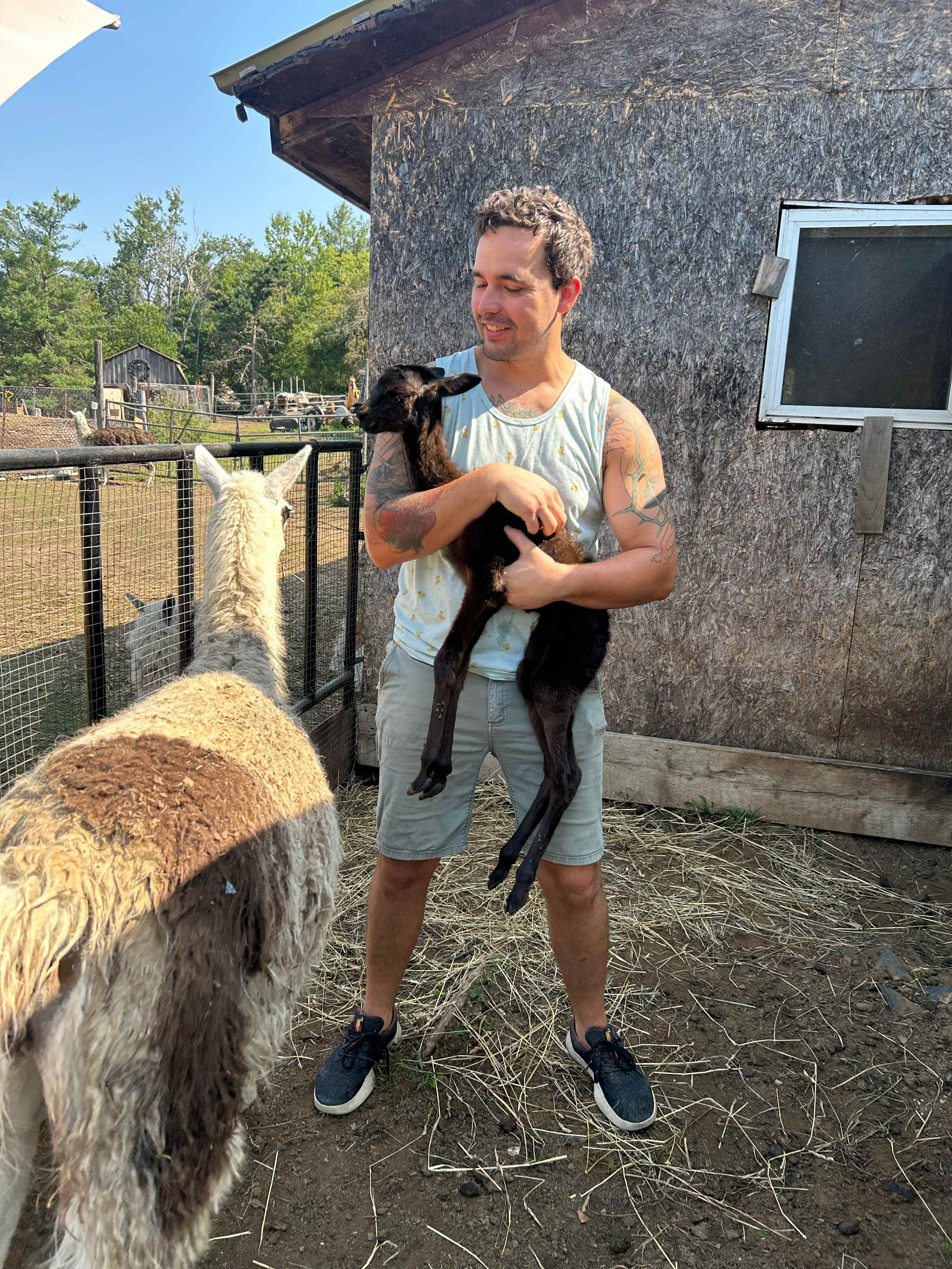 Dragonfly Ridge Rescue Farm