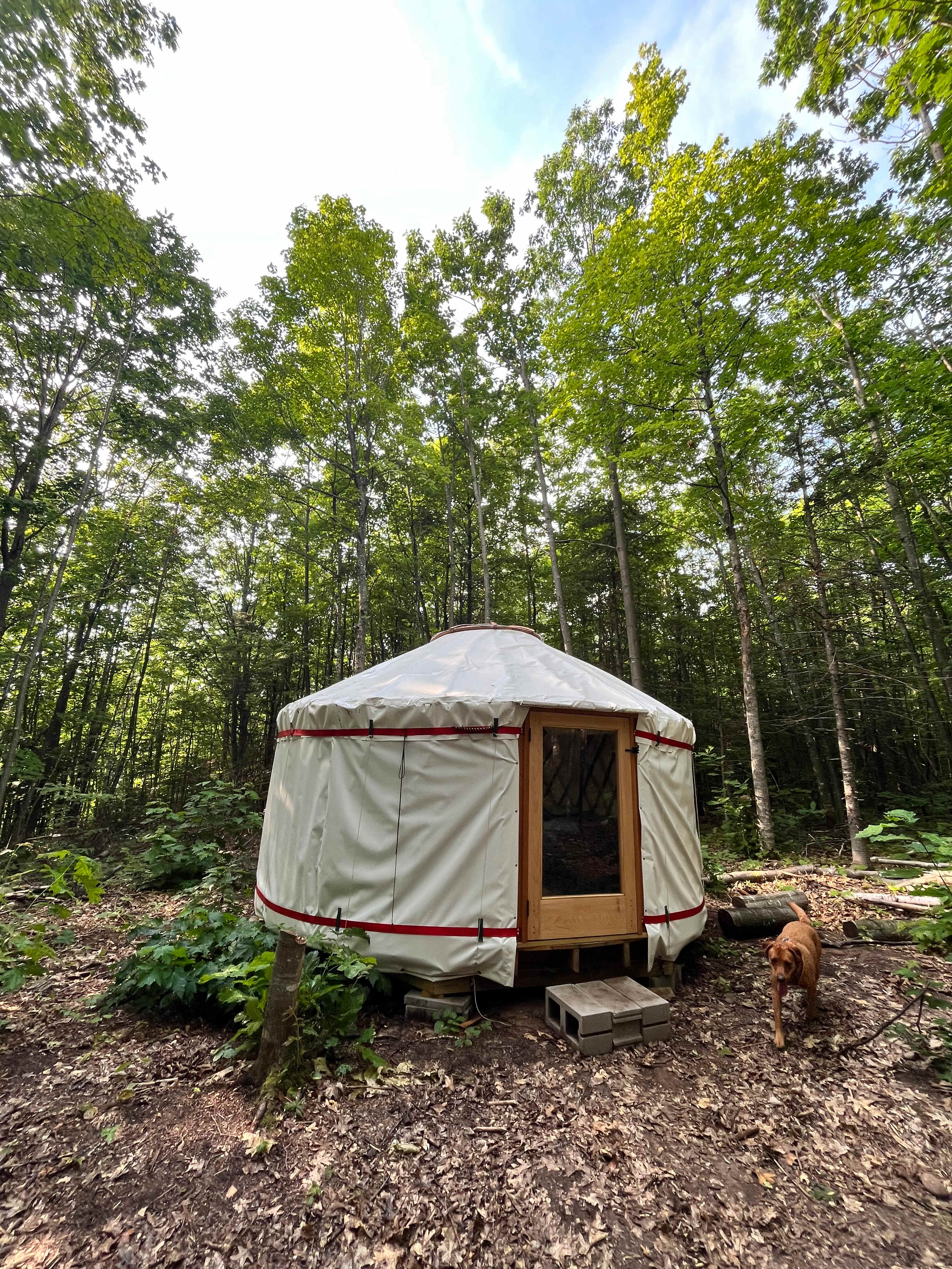 Basswood Yurt