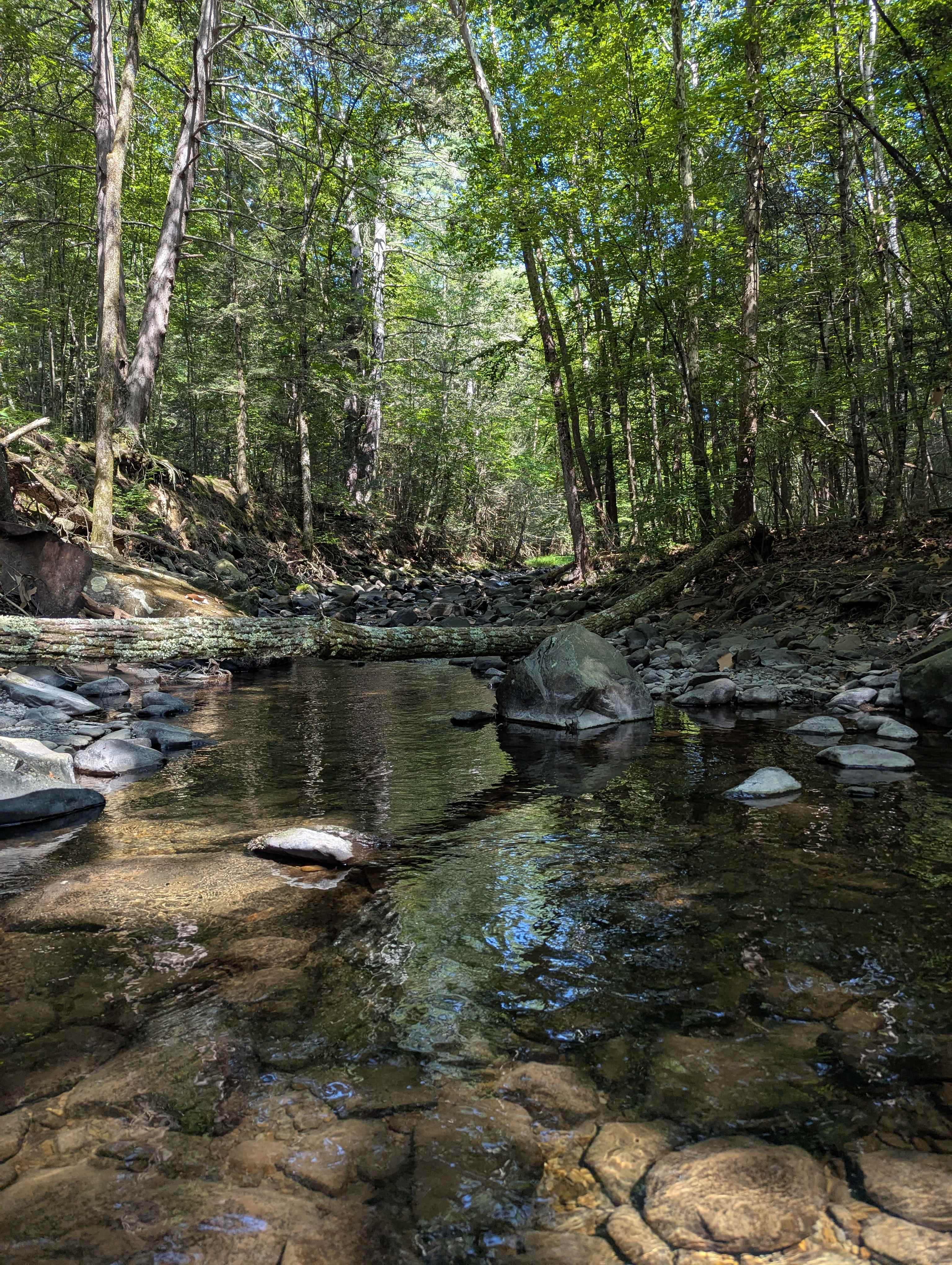 stream near the campsite and swimming hole just a short walk down the trail