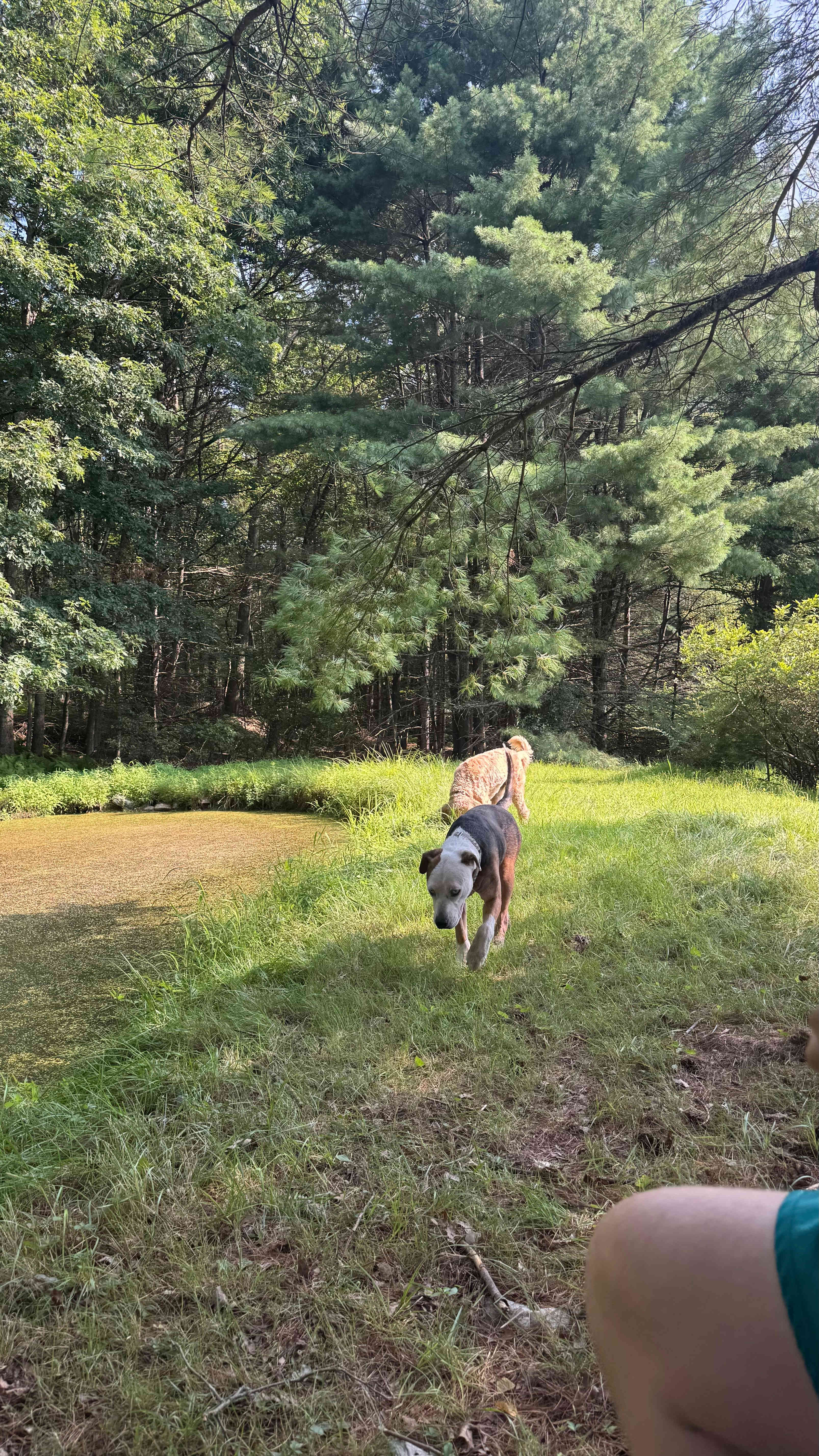 Hippie Havens: A Groovy Retreat