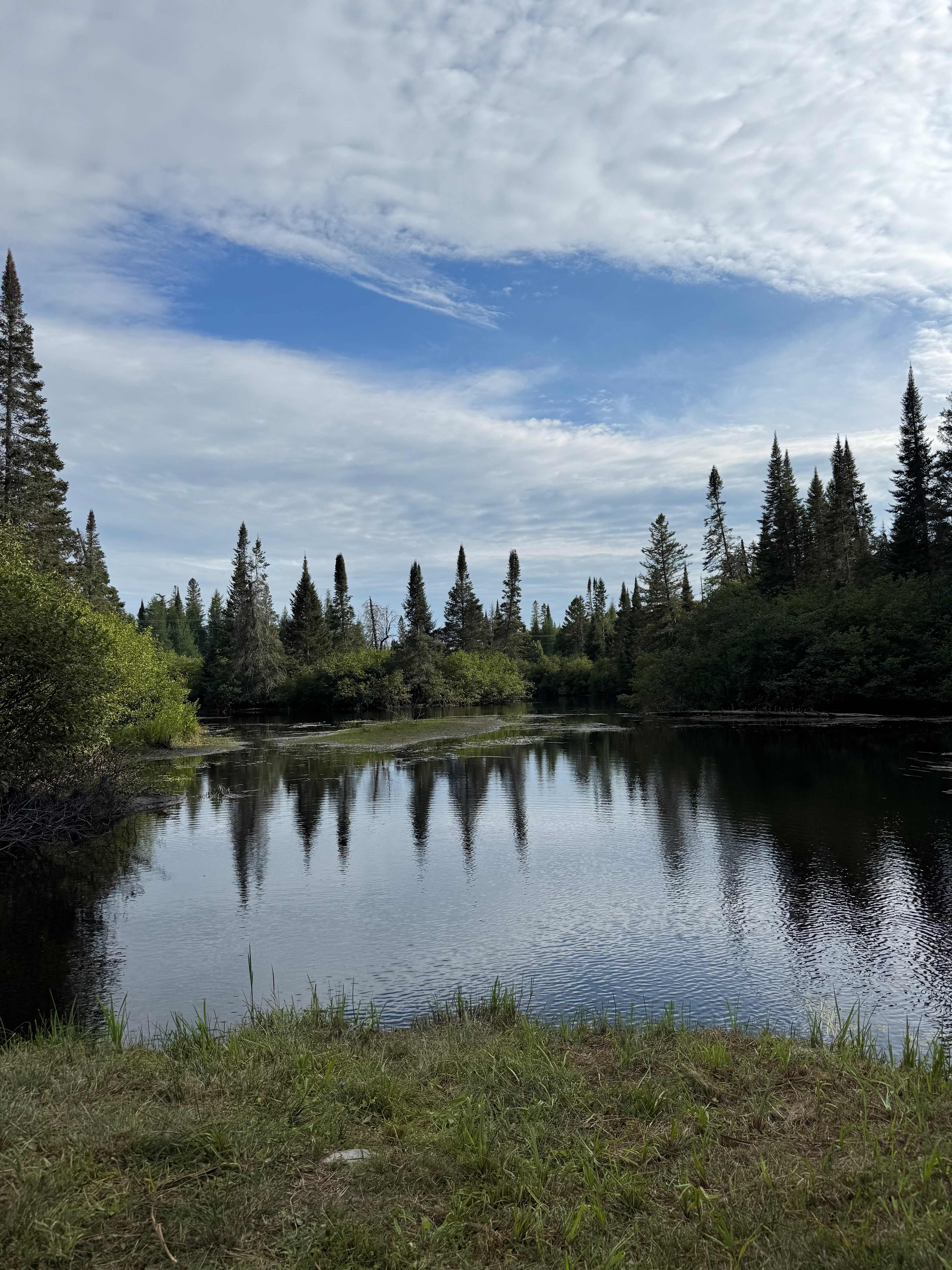 Mitziville By The Lake