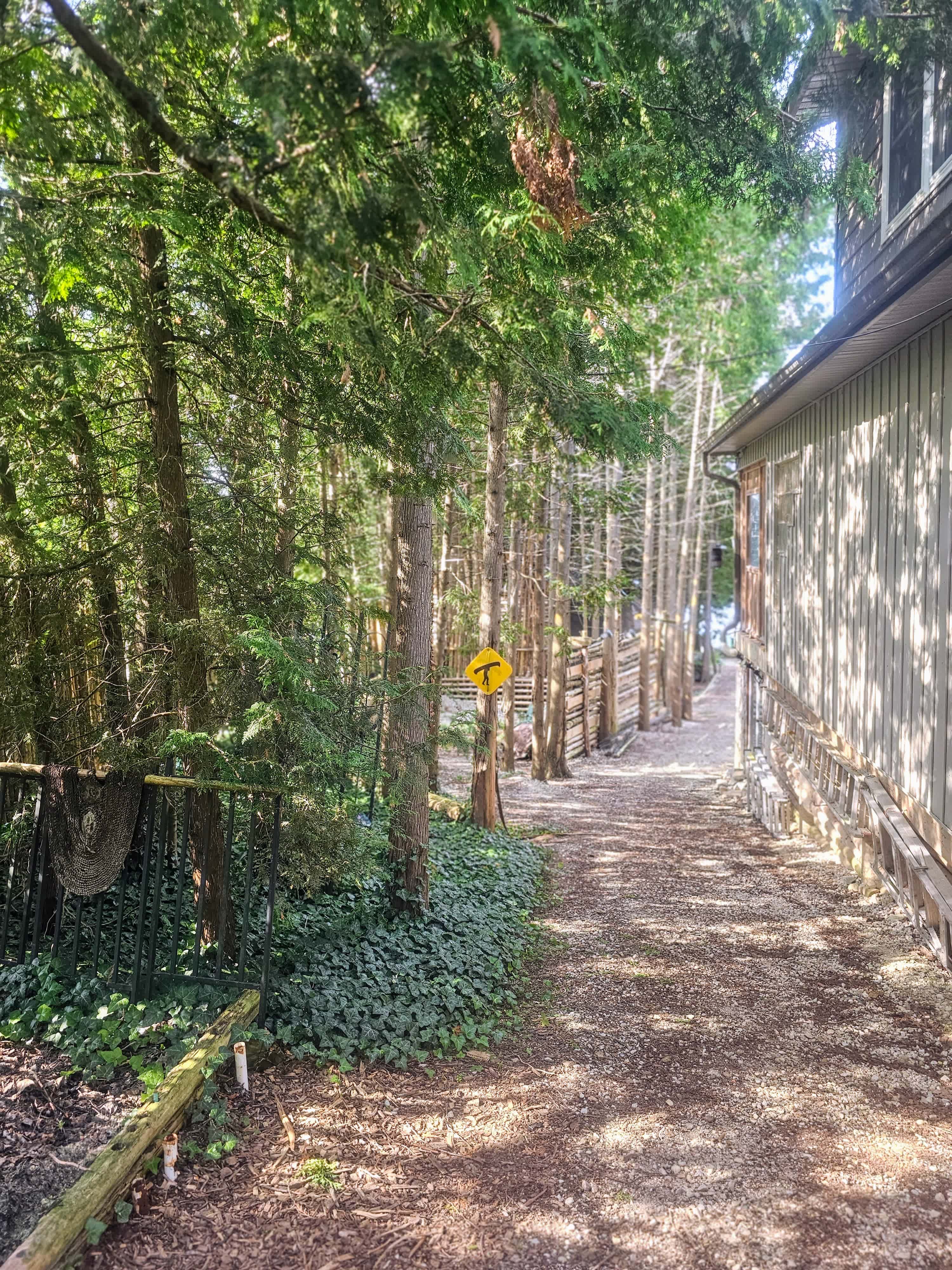 Tolkien Fantasy At Grey Havens