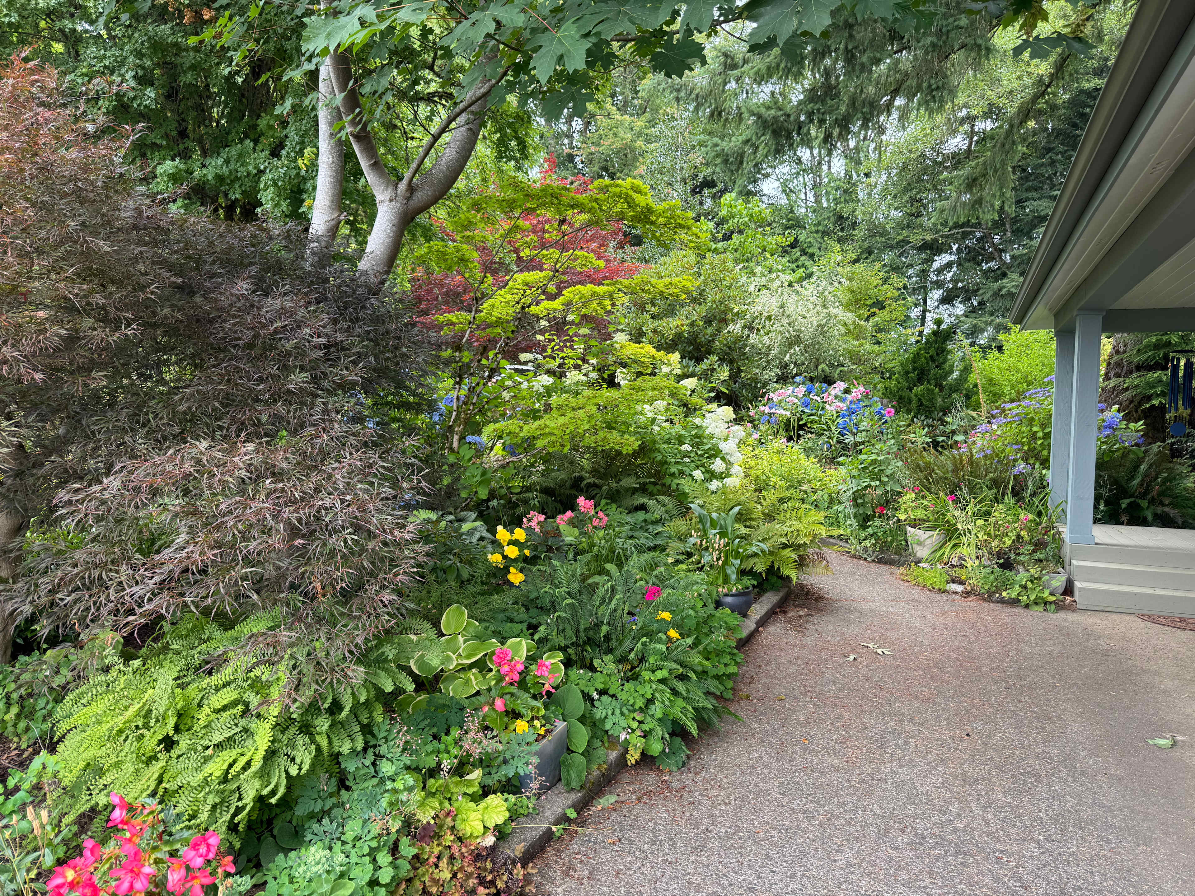 Beautiful gardens near Kay’s home