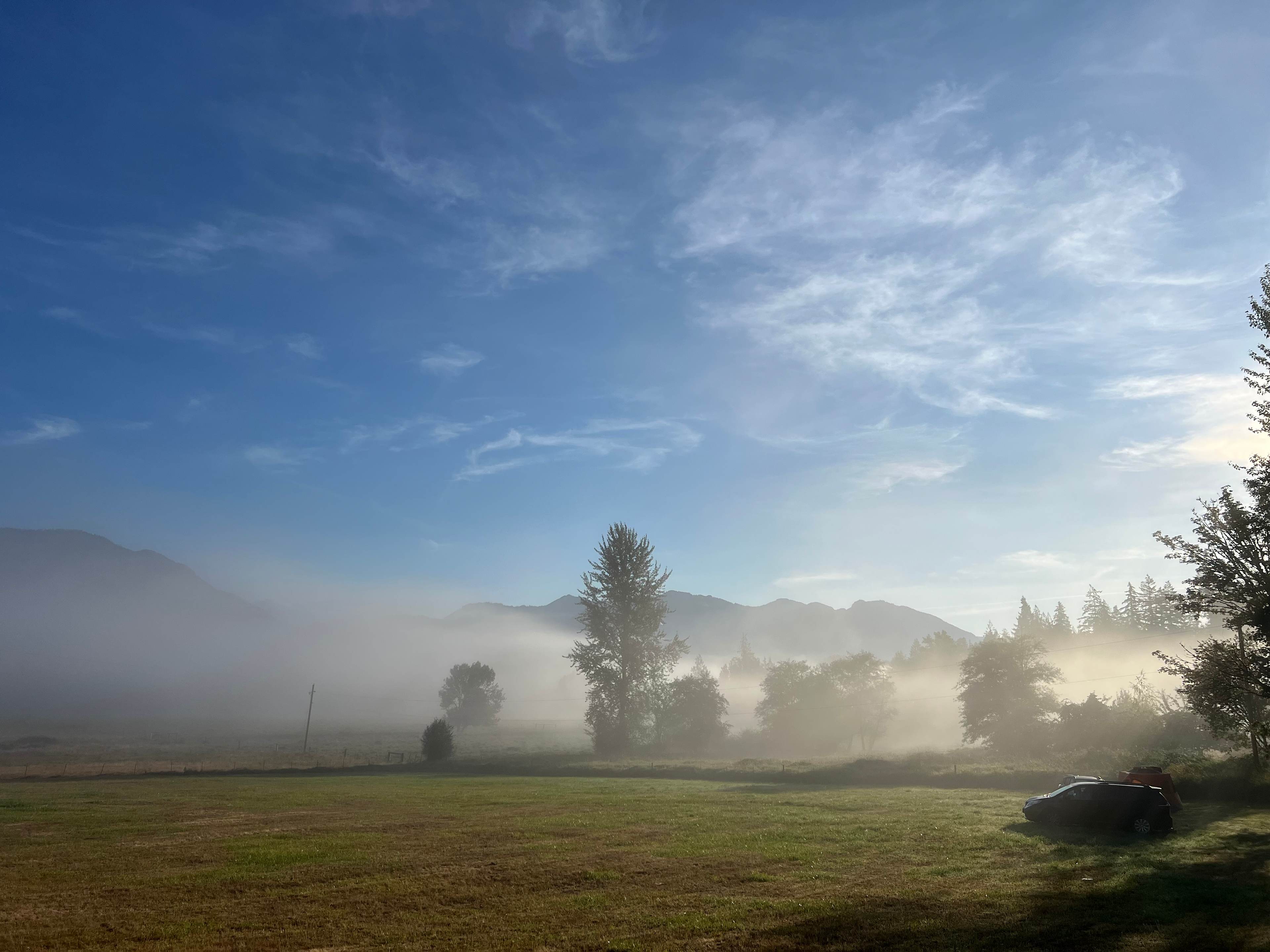 Painter’s Paradise