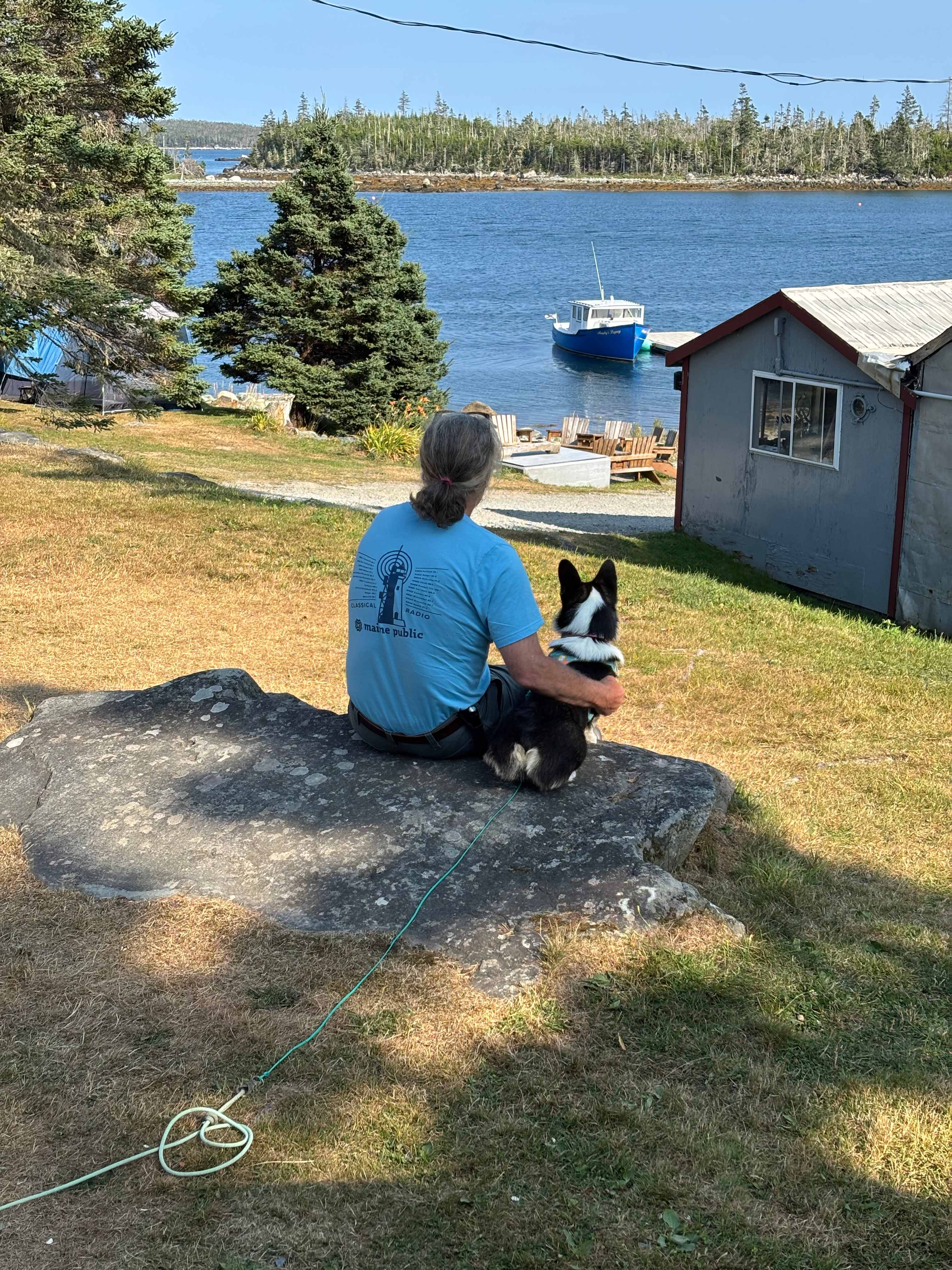 Adventures with Snickers