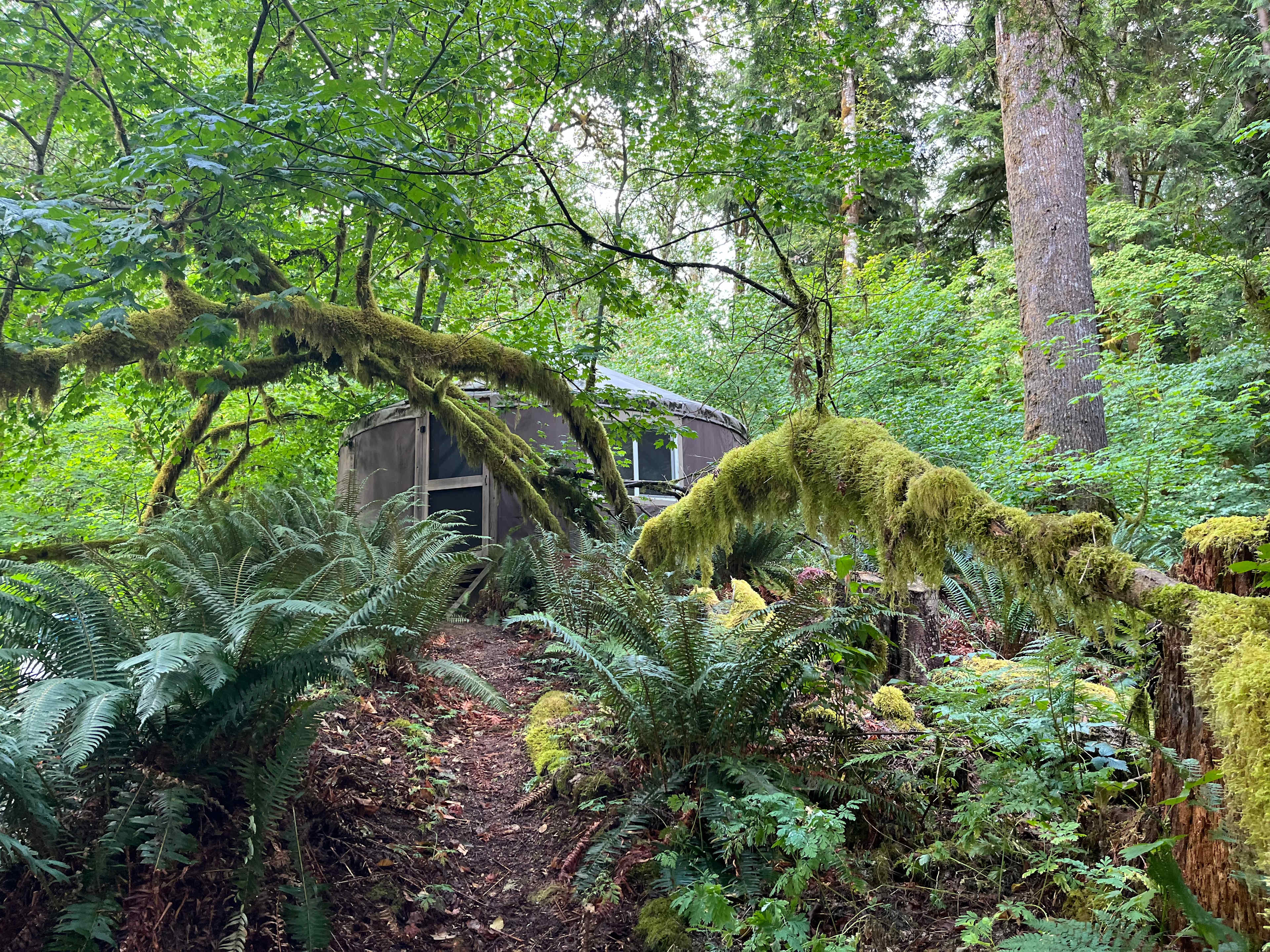 North Stilly River Yurt - Hipcamp in Swede Heaven, Washington