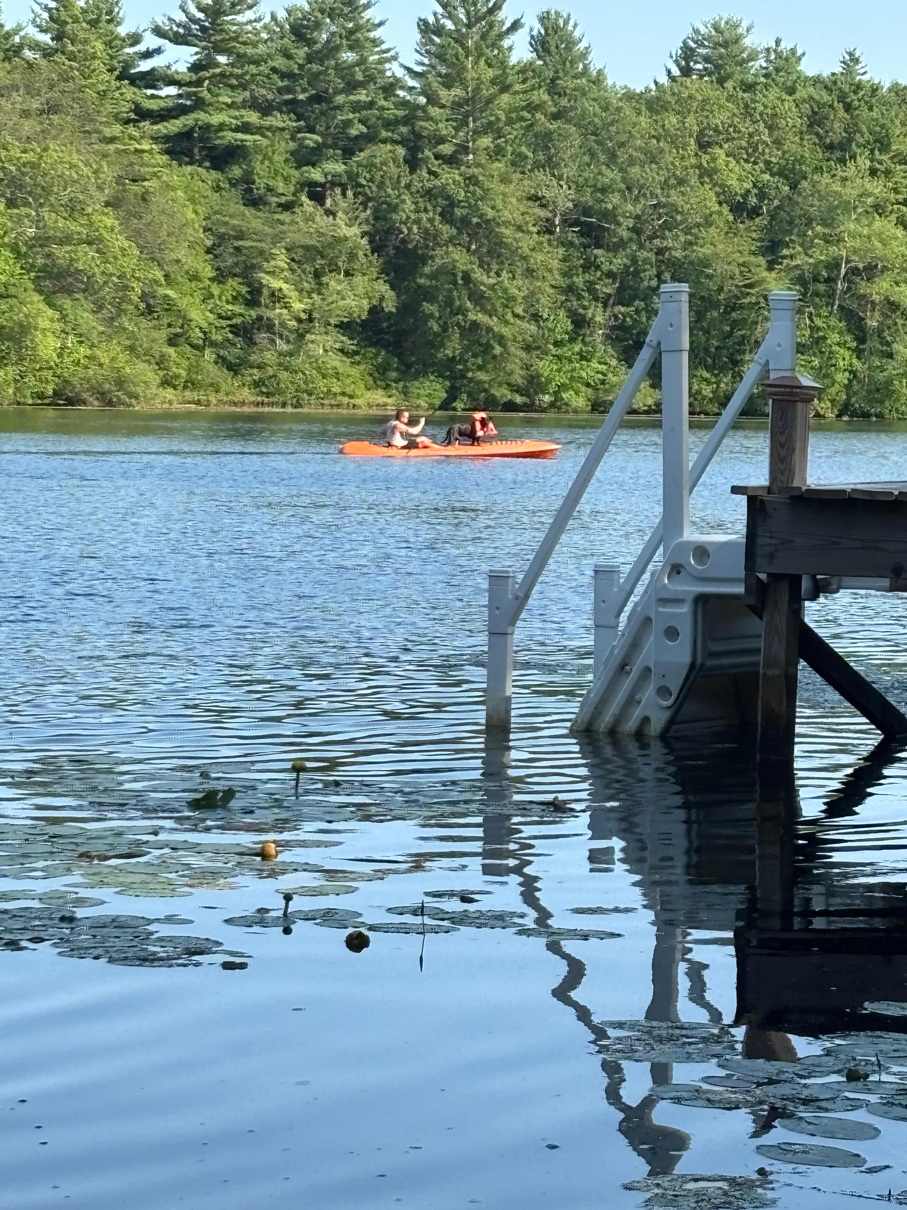 Vintage camper, waterfront &firepit