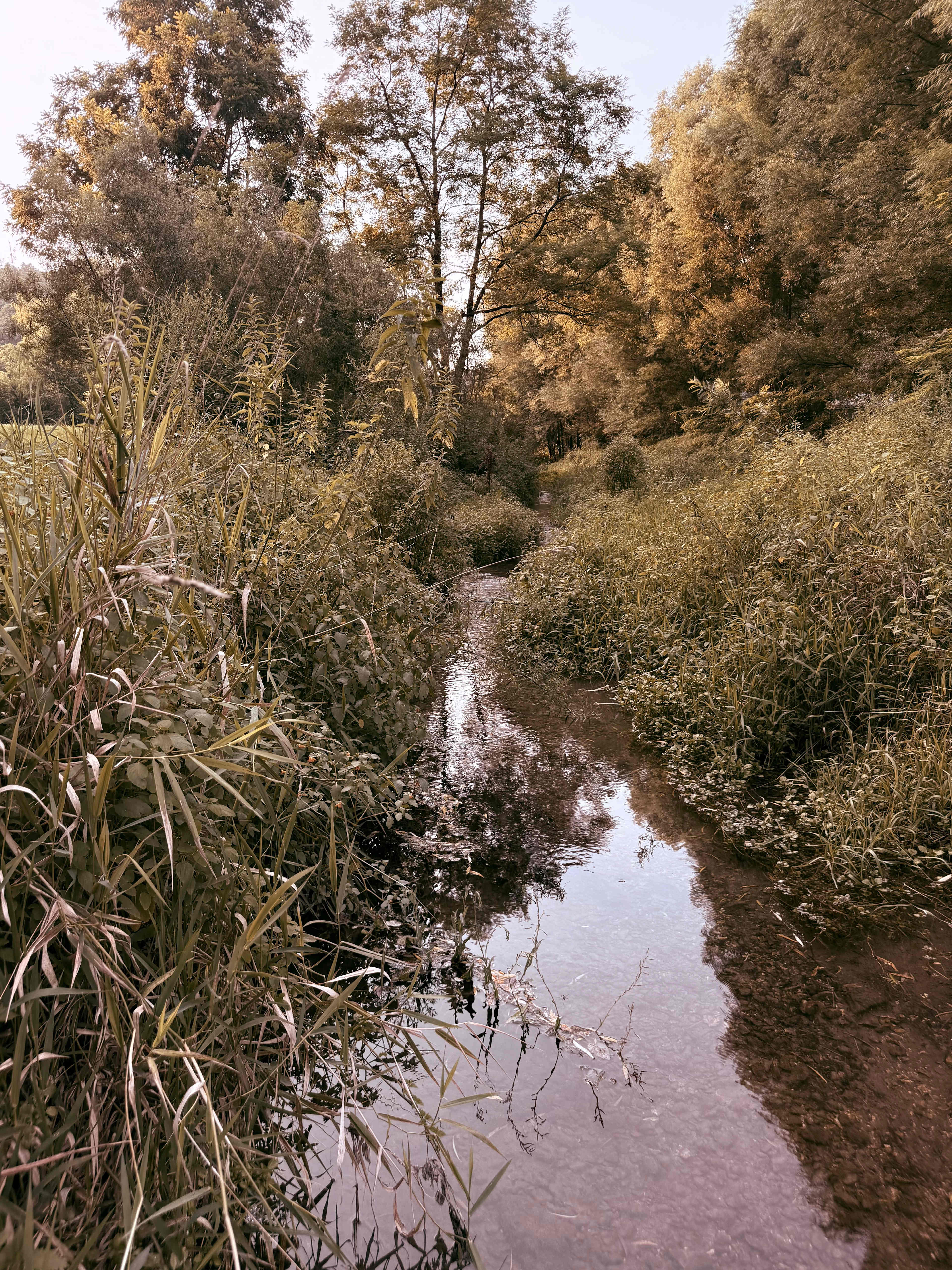 Wooded Retreat Tiny House