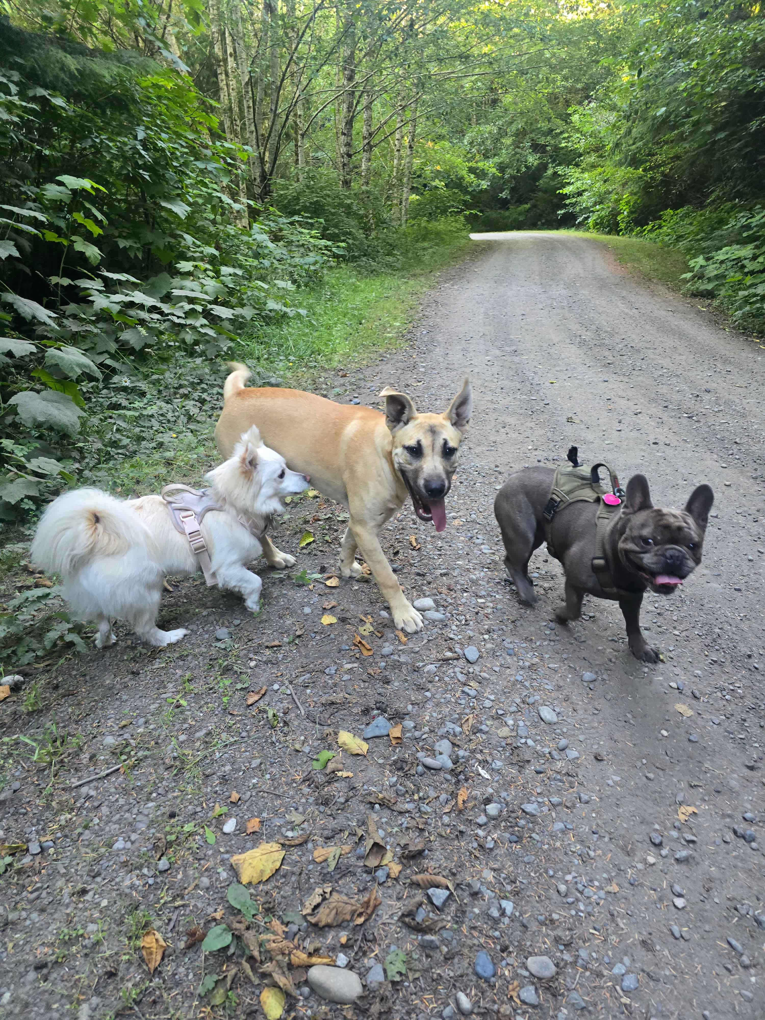 Weekend Warriors New Location