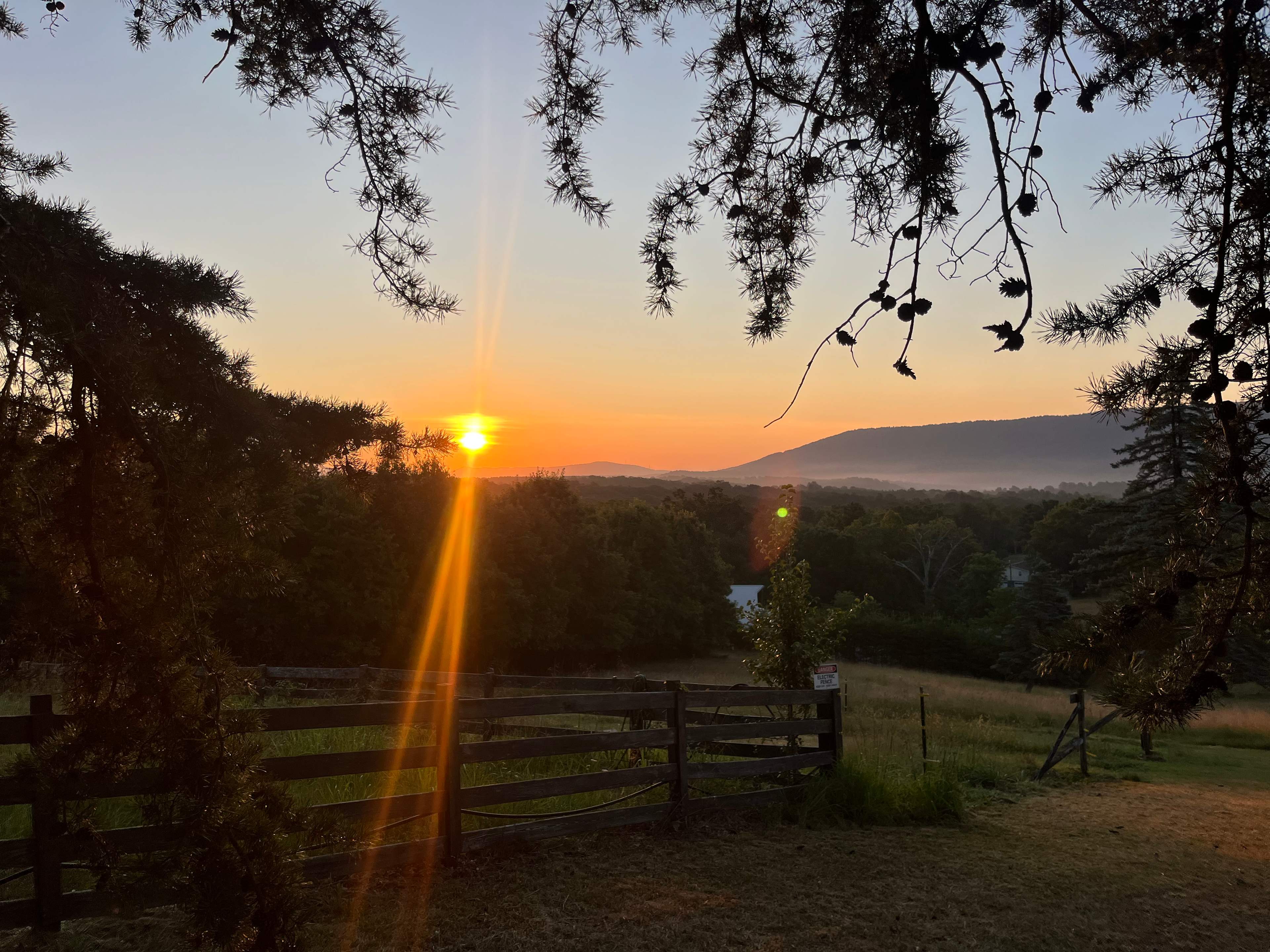 Beautiful sunrise from my site!