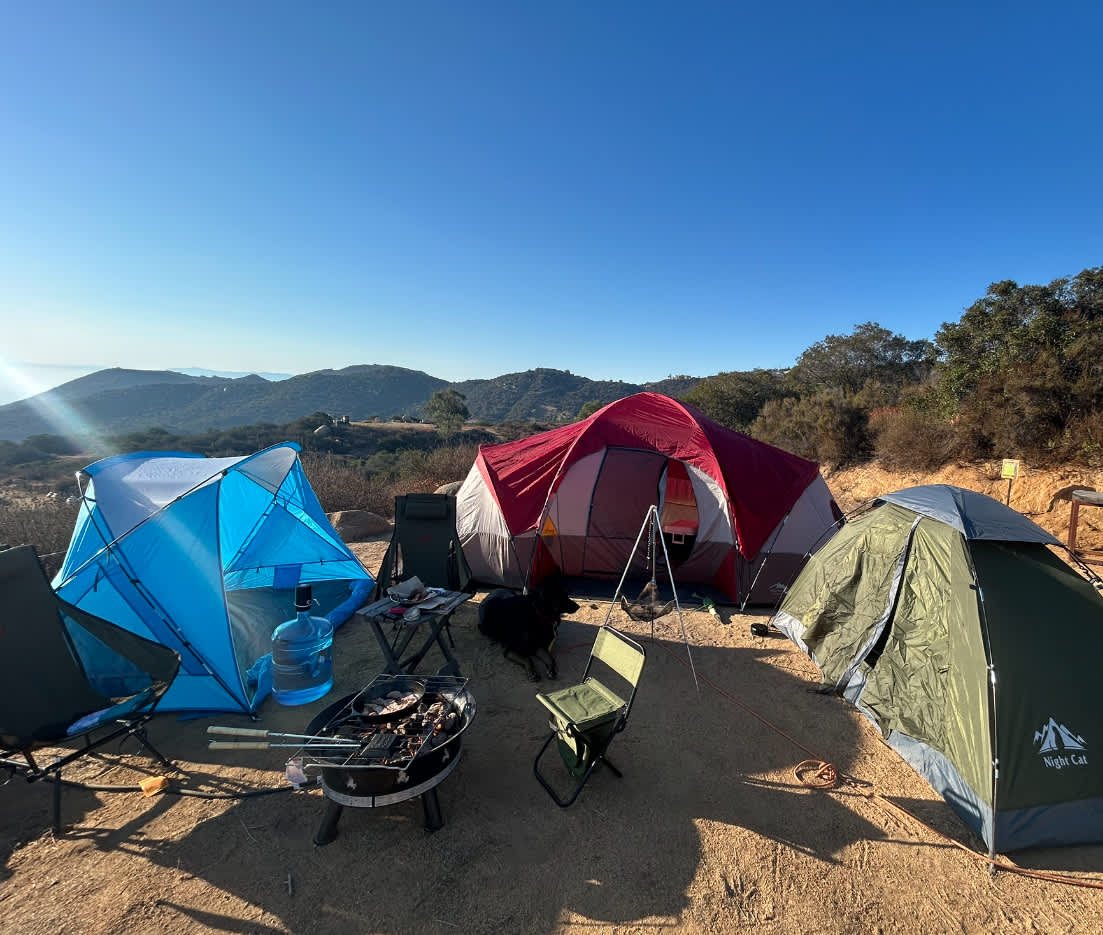 Zephyr Mountain Avocado Grove